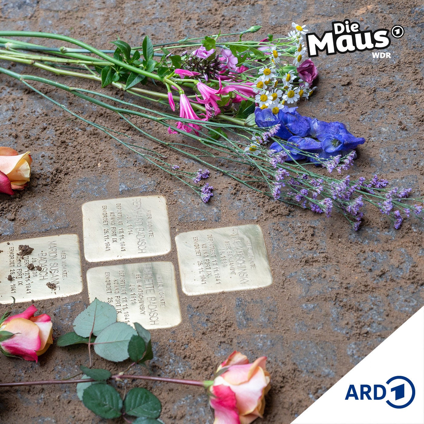 Sieben Weltwunder plus Eins (1/2) | Erinnern ab 8 Jahren