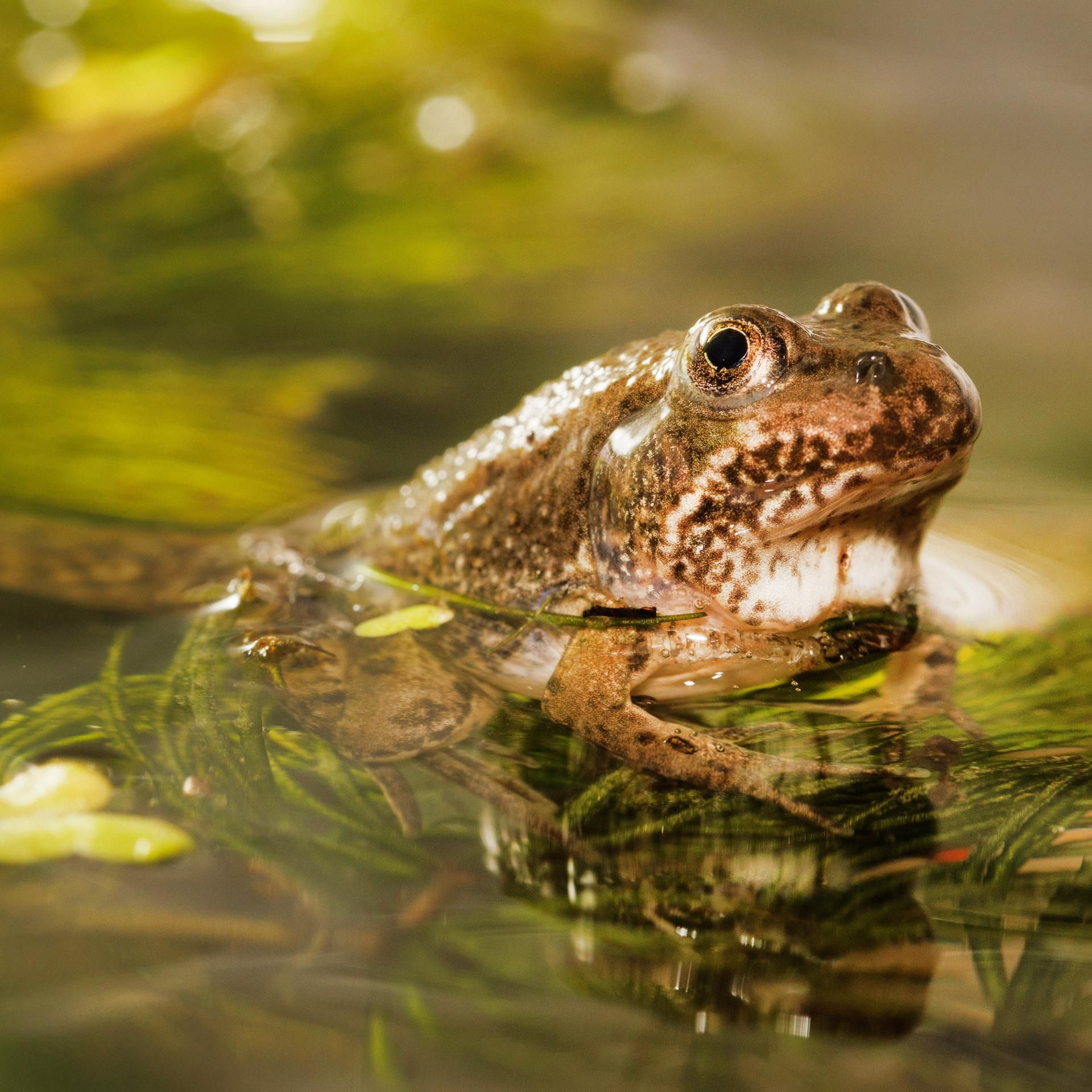 Kakadu - bei euch: - Charlotte leitet eine Aqua-Terra-AG