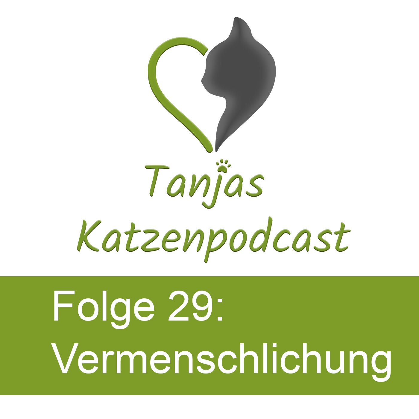 Warum wir Katzen vermenschlichen – und was das für die Katze bedeutet