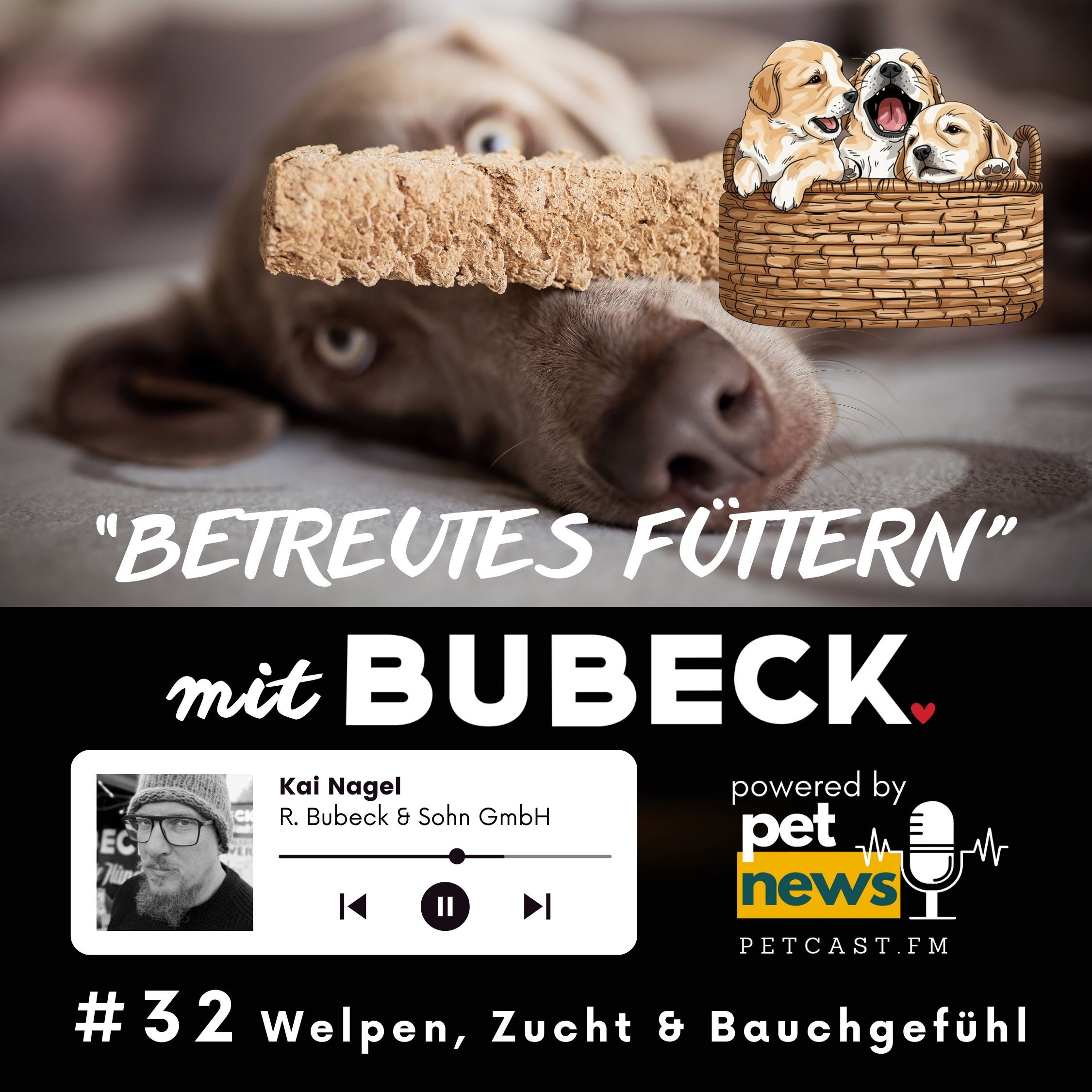 #32 - Vom Rauhbart zum Rennhund mit Melanie Steger