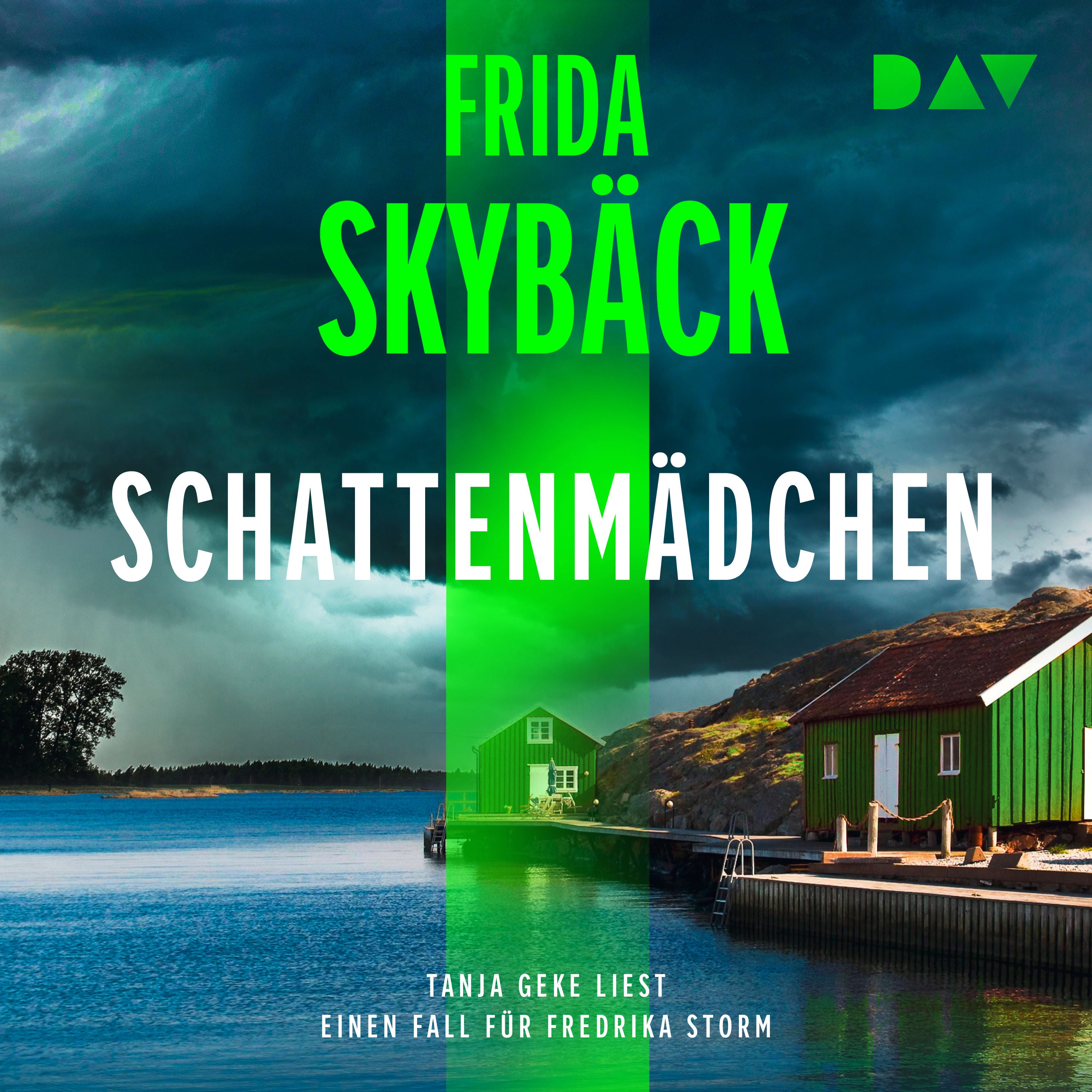 Schattenmädchen. Ein Fall für Fredrika Storm