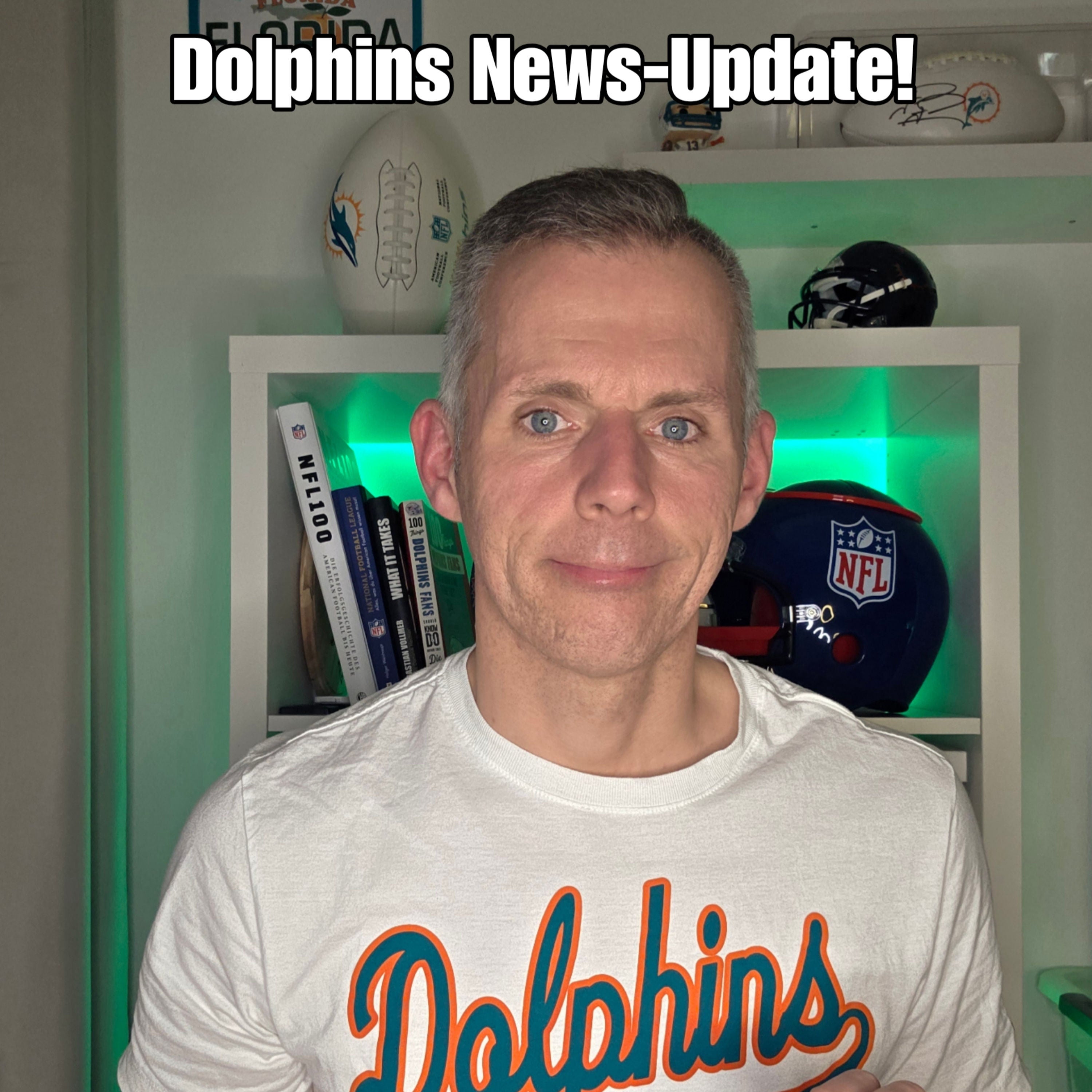 All about the Dolphins!