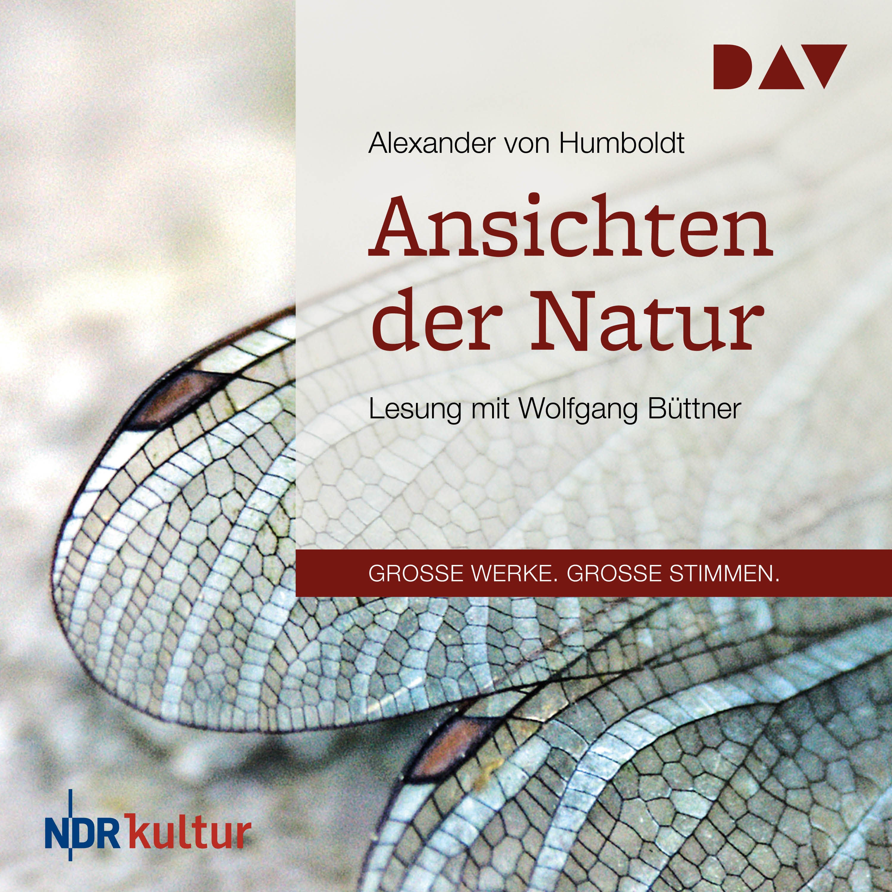 Die Südamerika-Reise. Reise in die Äquinoktial-Gegenden des Neuen Kontinents