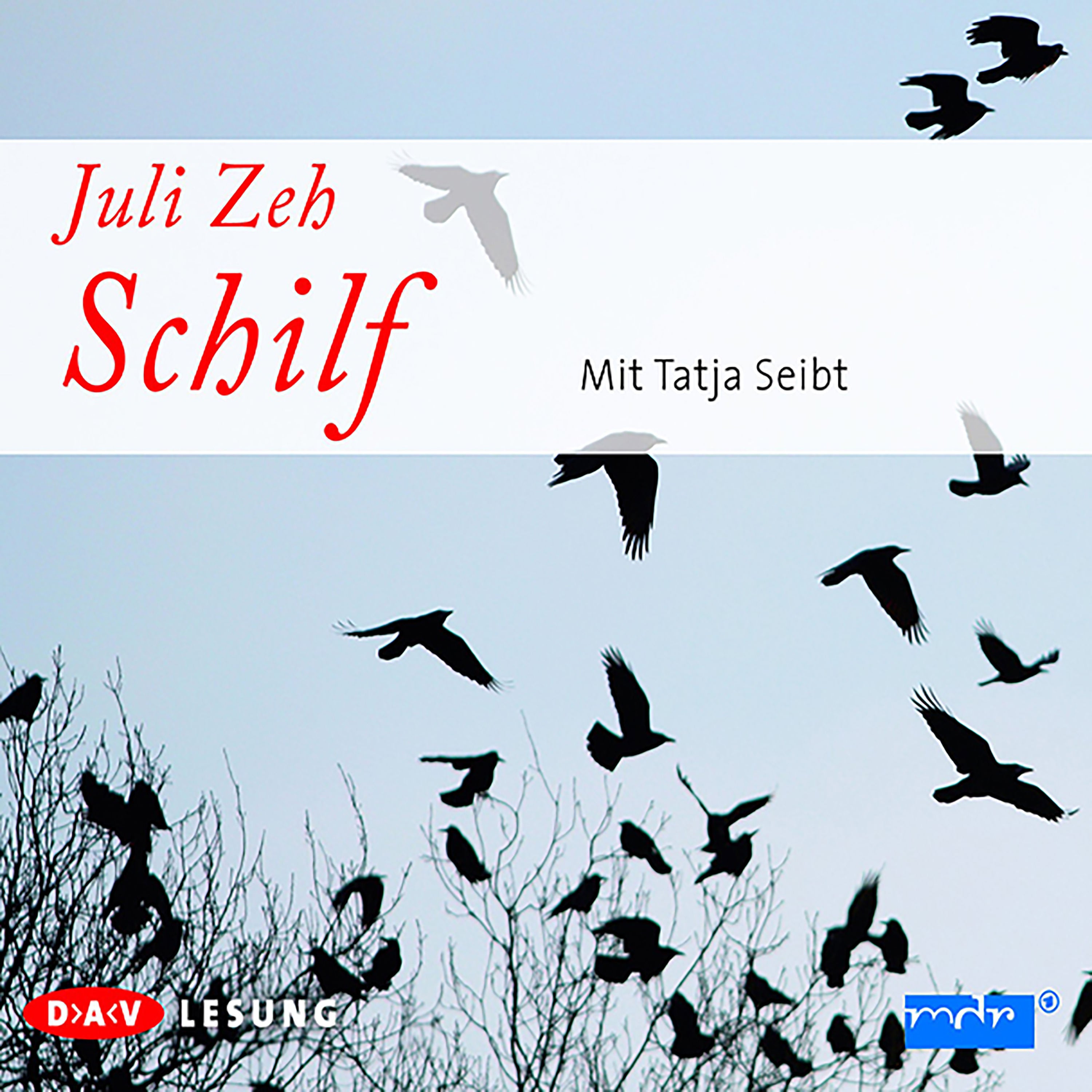 Schilf