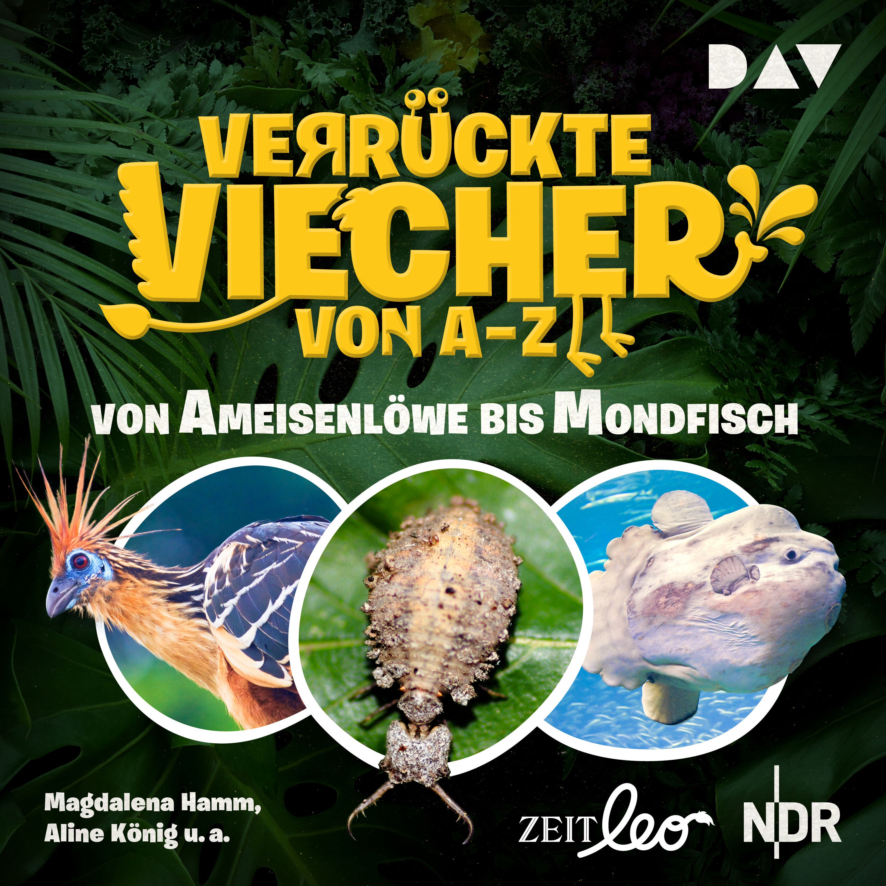 Verrückte Viecher von A bis Z – Teil 1: Von Ameisenlöwe bis Mondfisch
