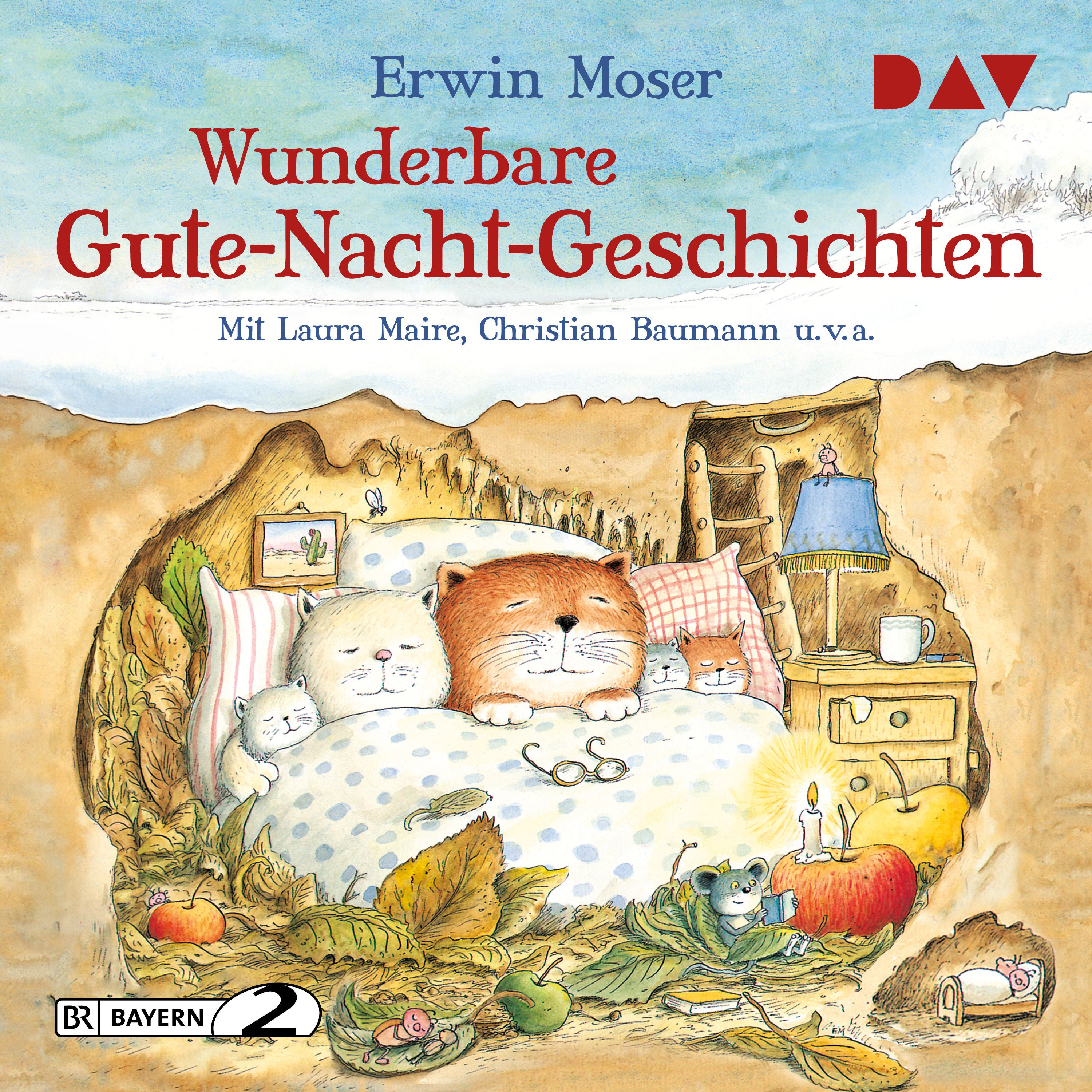 Wunderbare Gute-Nacht-Geschichten