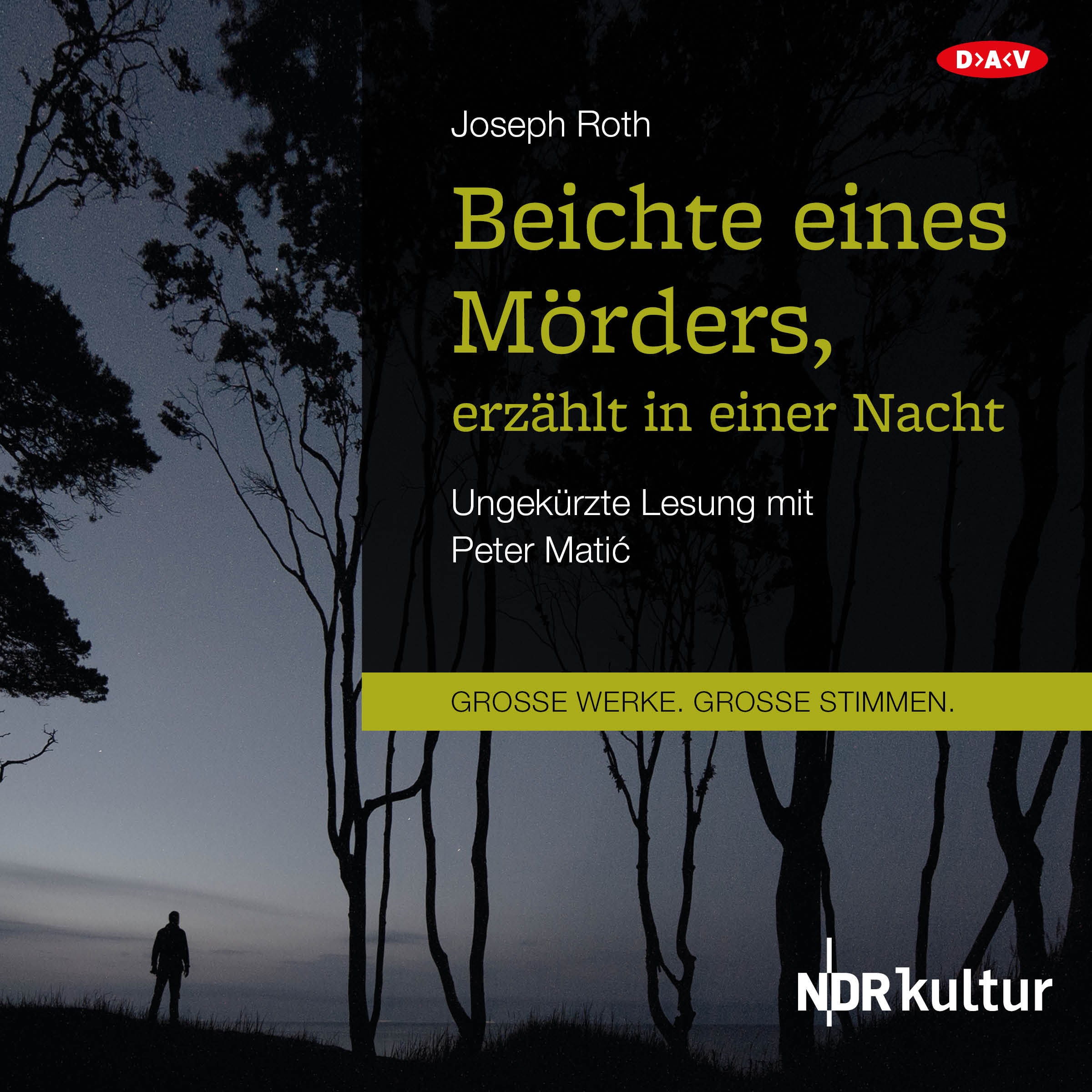 Beichte eines Mörders, erzählt in einer Nacht