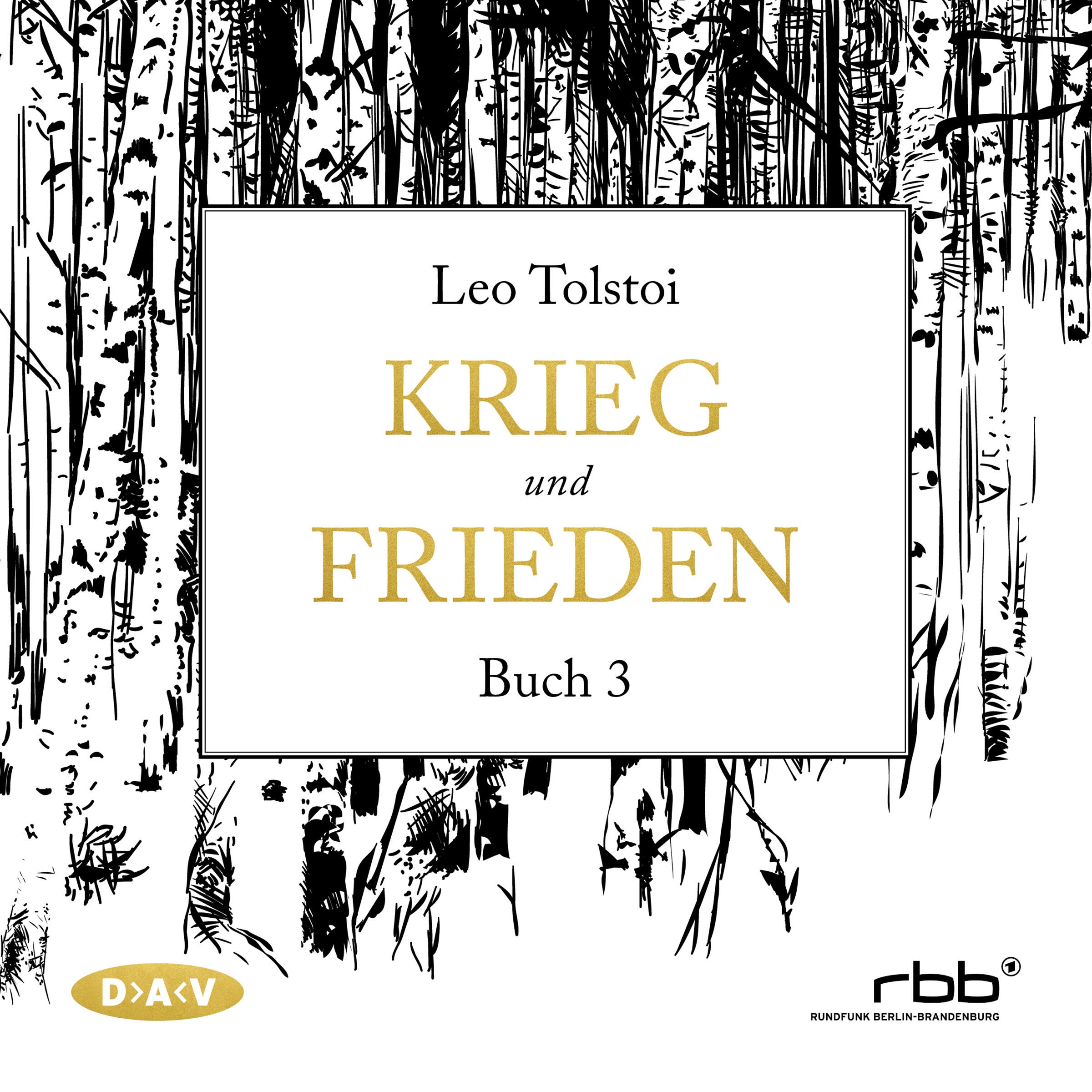 Krieg und Frieden – Buch 3