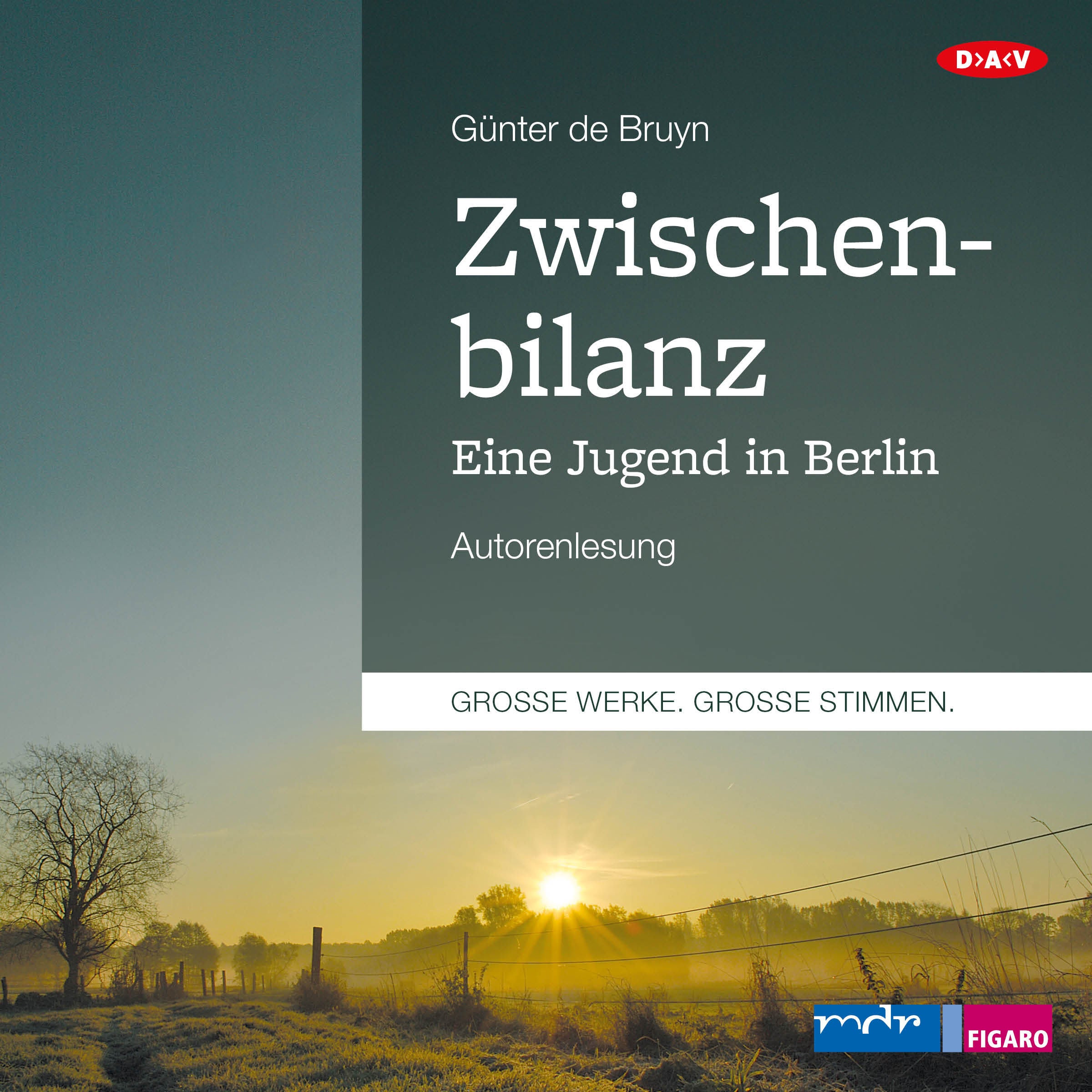 Zwischenbilanz. Eine Jugend in Berlin