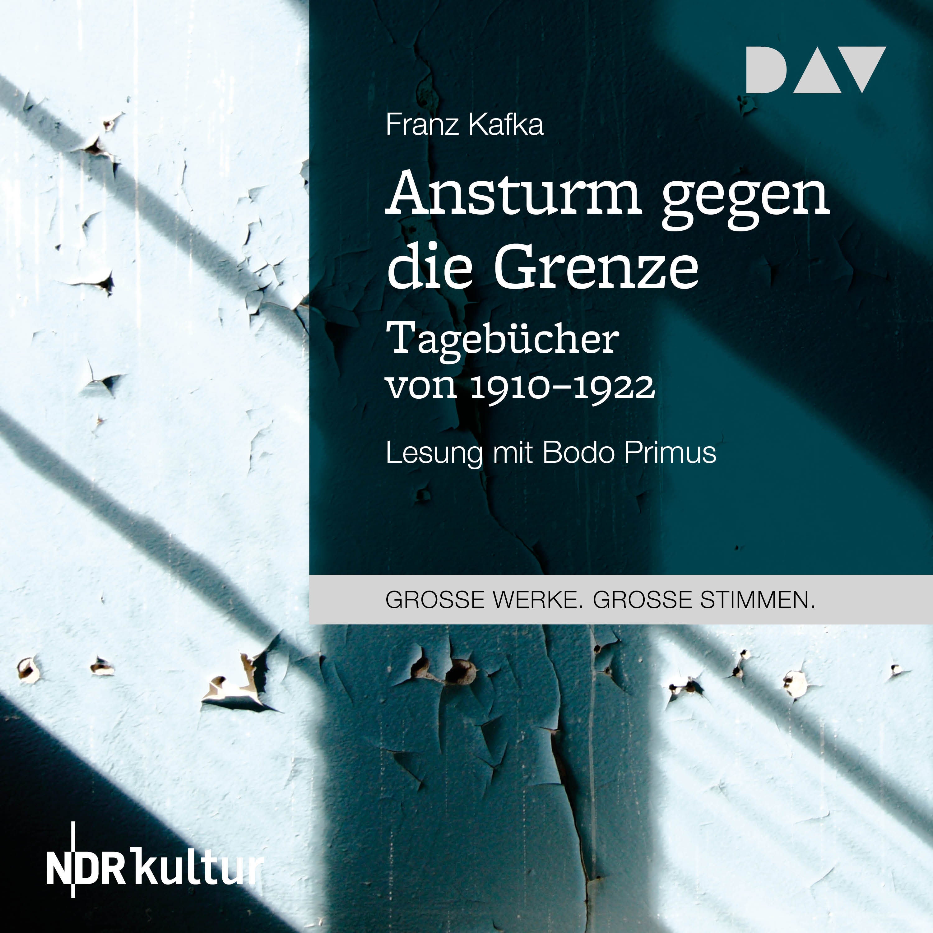 Ansturm gegen die Grenze. Tagebücher von 1910–1922