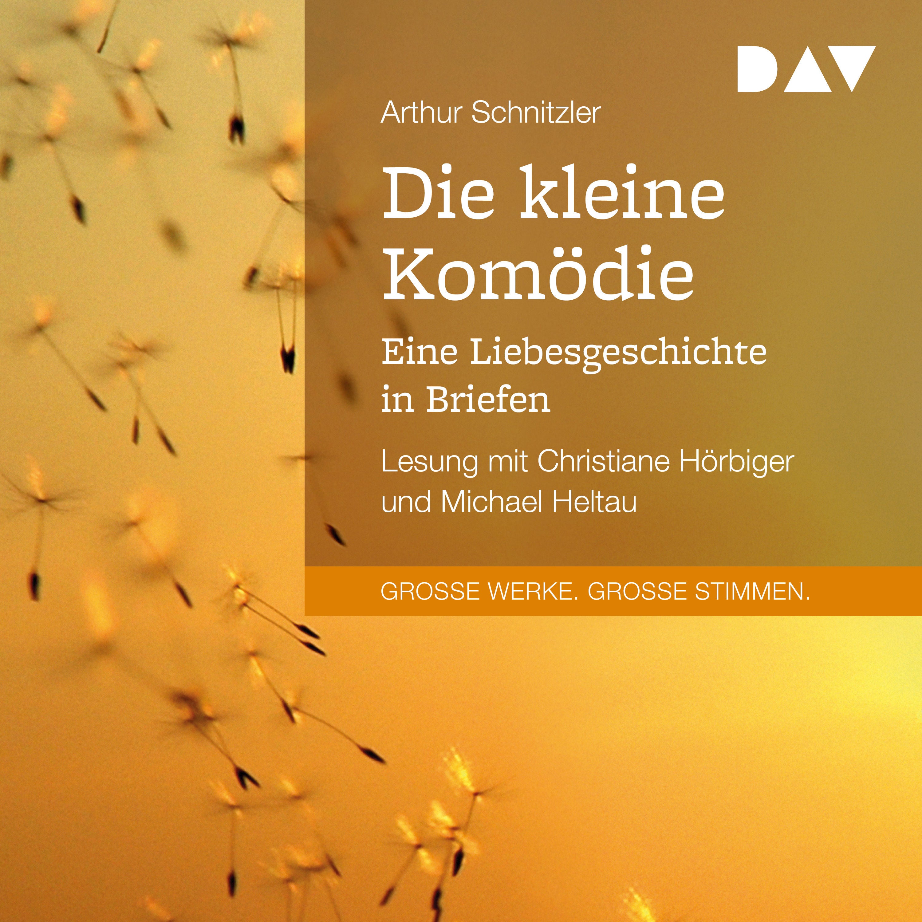 Die kleine Komödie. Eine Liebesgeschichte in Briefen