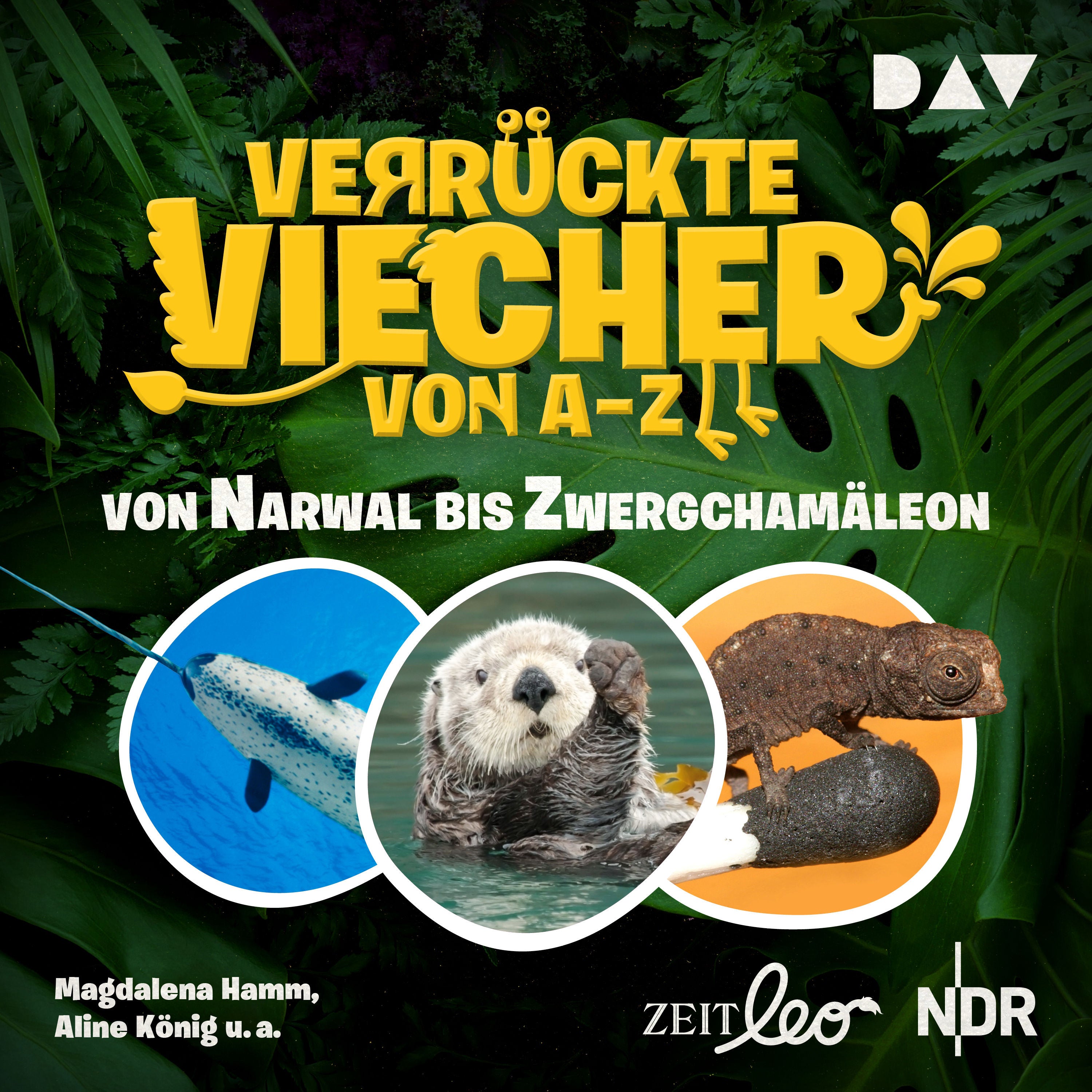 Verrückte Viecher von A bis Z – Teil 2: Von Narwal bis Zwergchamäleon