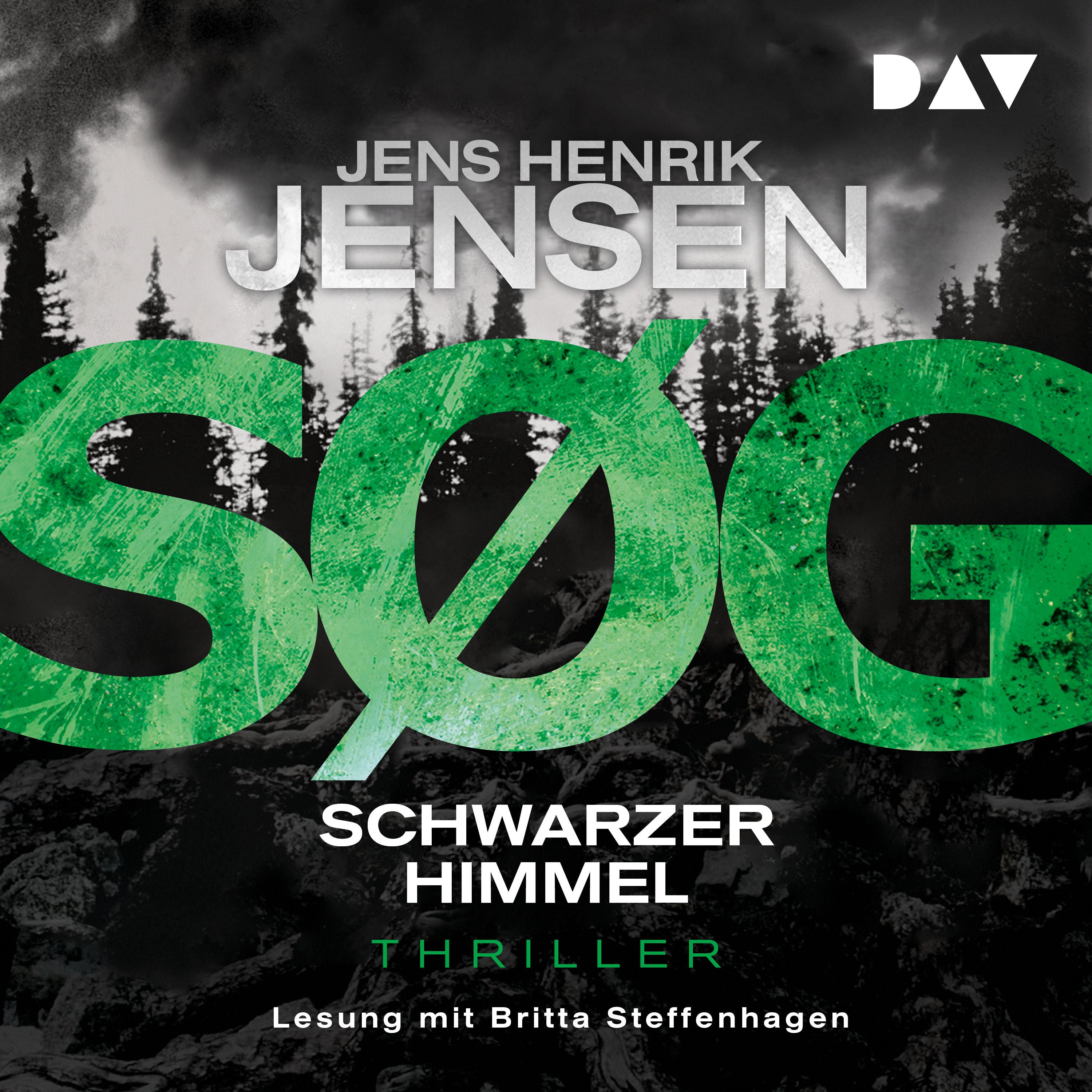 SØG. Schwarzer Himmel. Ein Nina-Portland-Thriller (Teil 2)