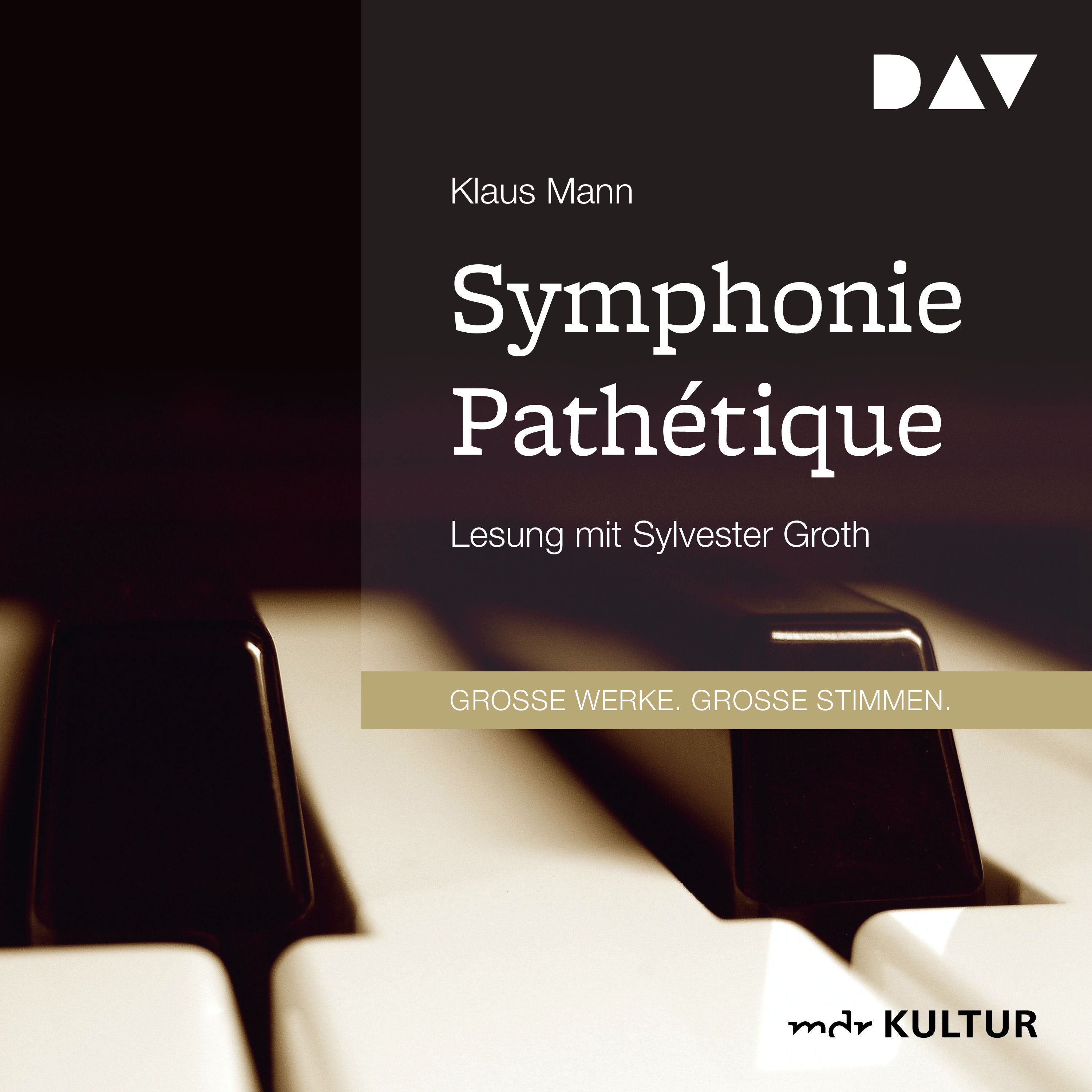 Symphonie Pathétique. Ein Tschaikowsky-Roman