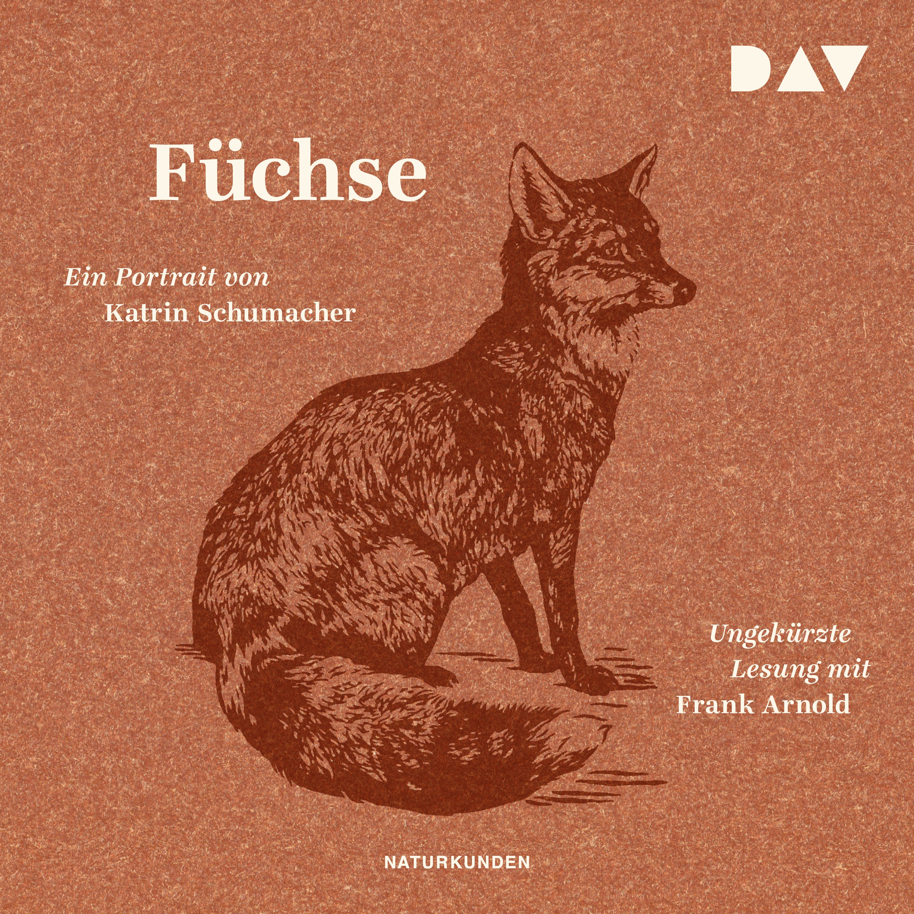 Füchse. Ein Portrait