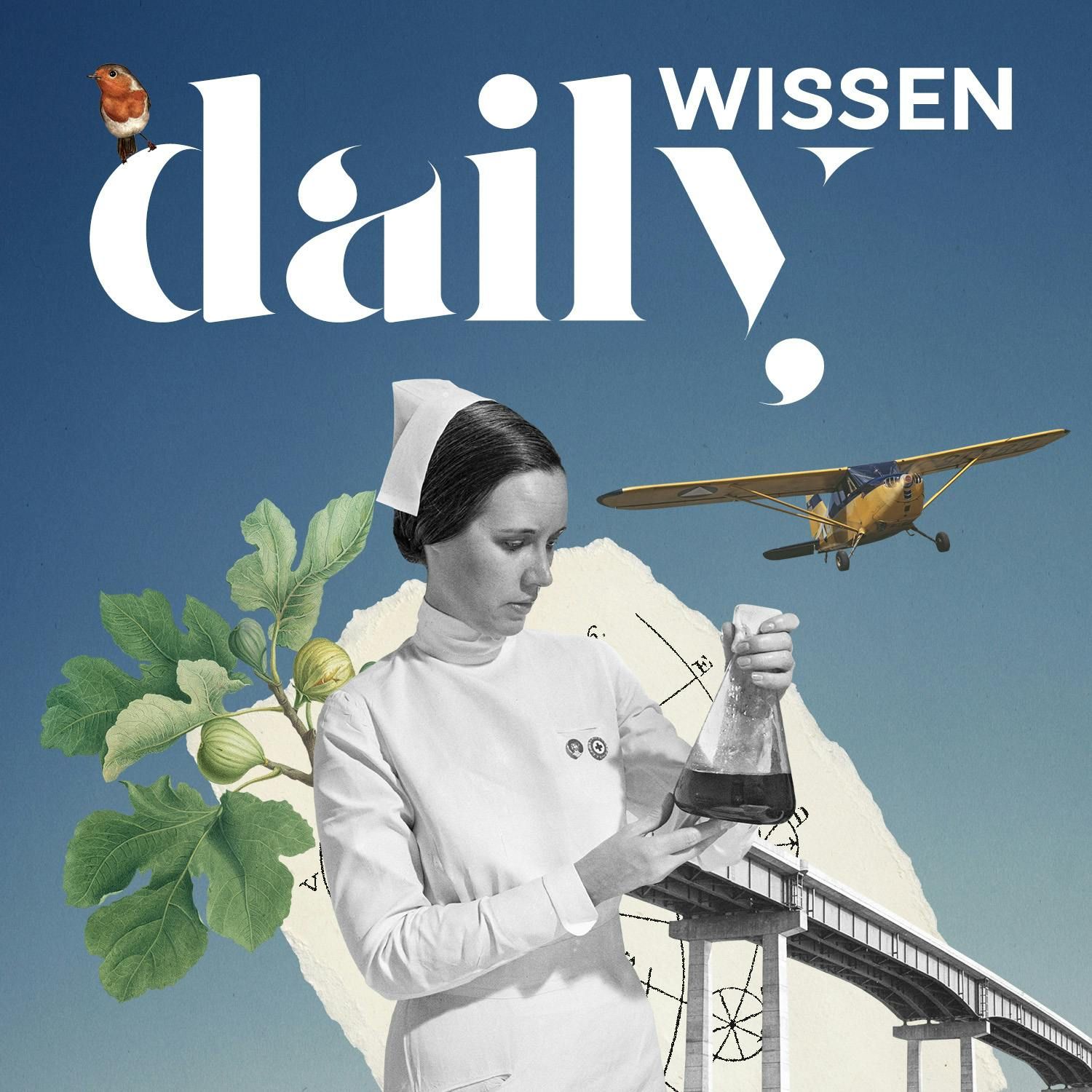 Waren Algen früher unser Superfood?