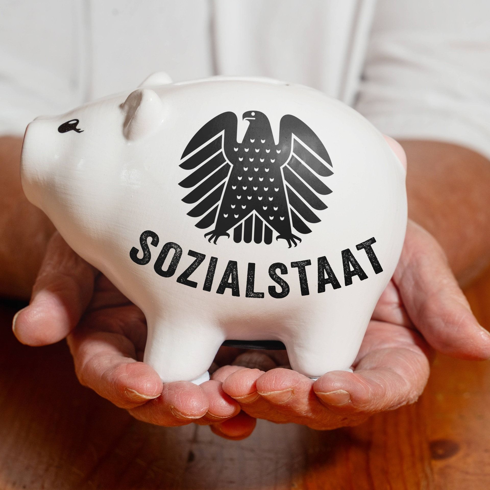 Kampf dem „Behördendschungel“ – Ist der Sozialstaat reformierbar?