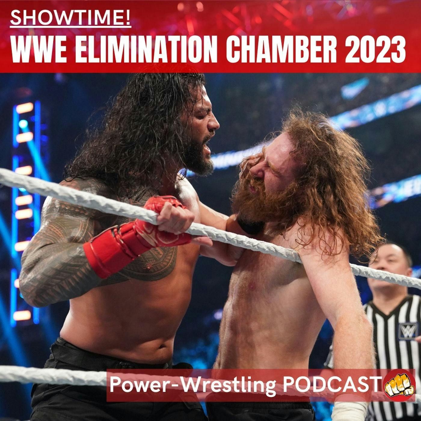 SHOWTIME! WWE Elimination Chamber 2023 - das ausführliche Review!