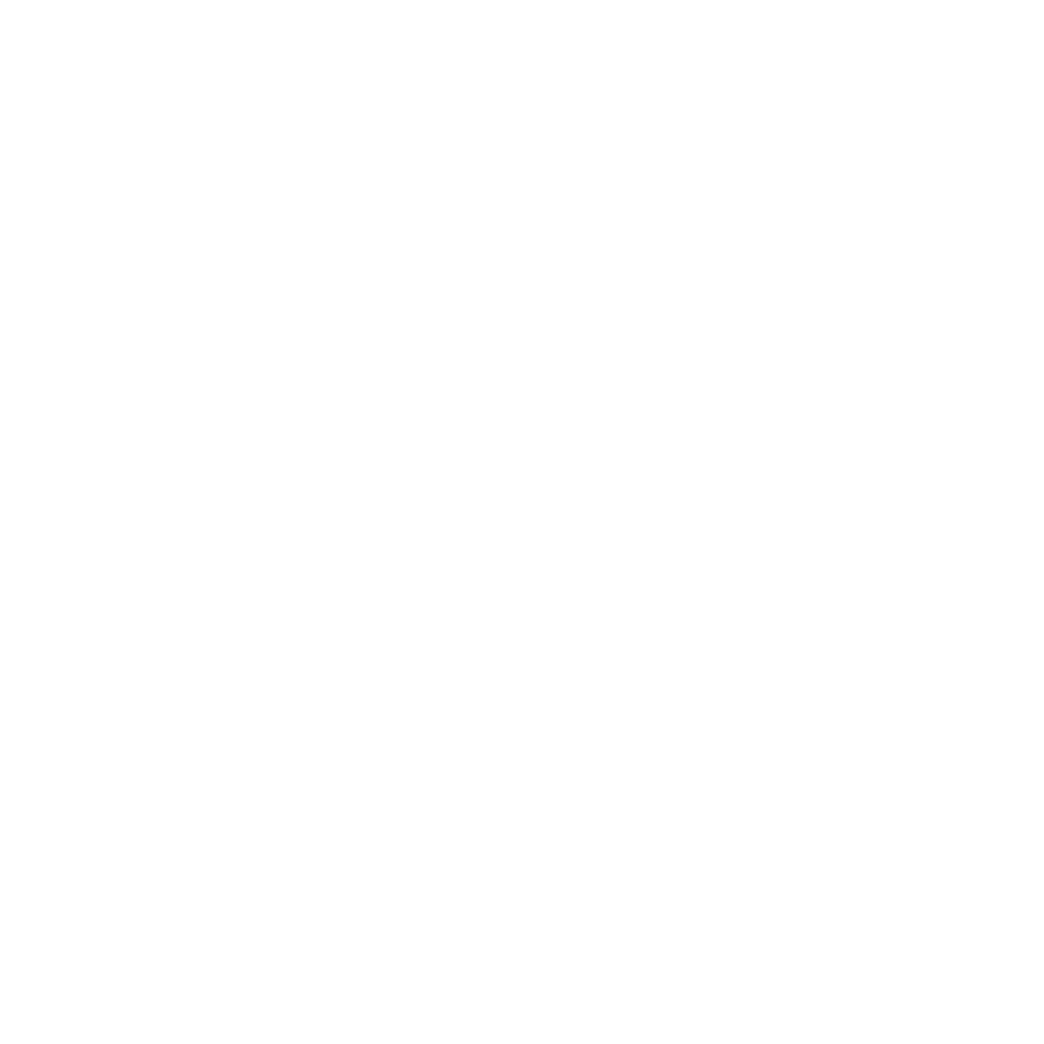 Bushido - Meine Wahrheit