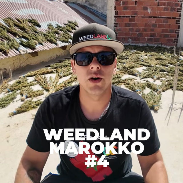 Ketama Alltag | Neue Farmen | Neue Regeln | Anbau & Genetik | Rifgebirge | Weedland Marokko #4