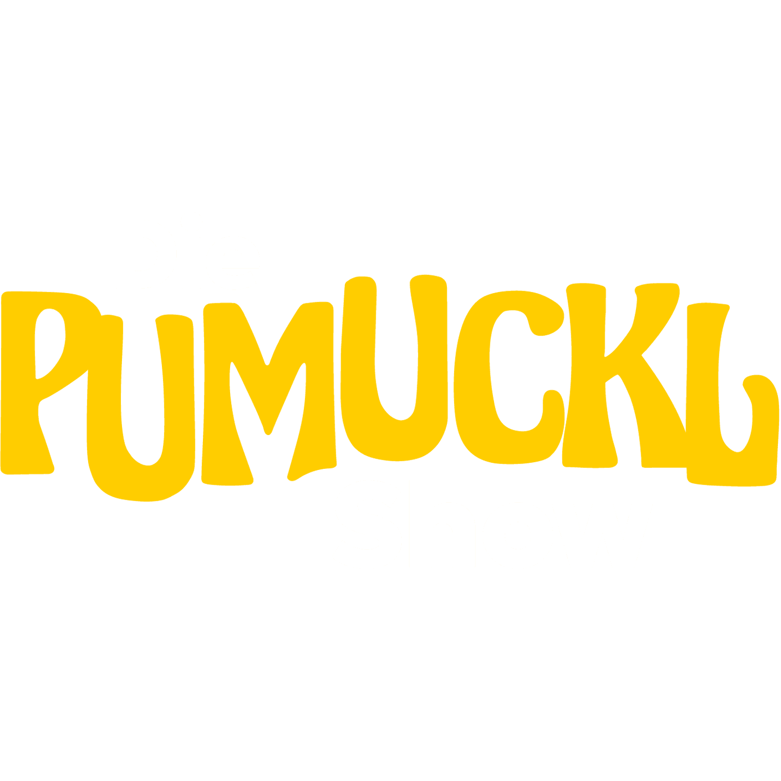 Die Pumuckl Show
