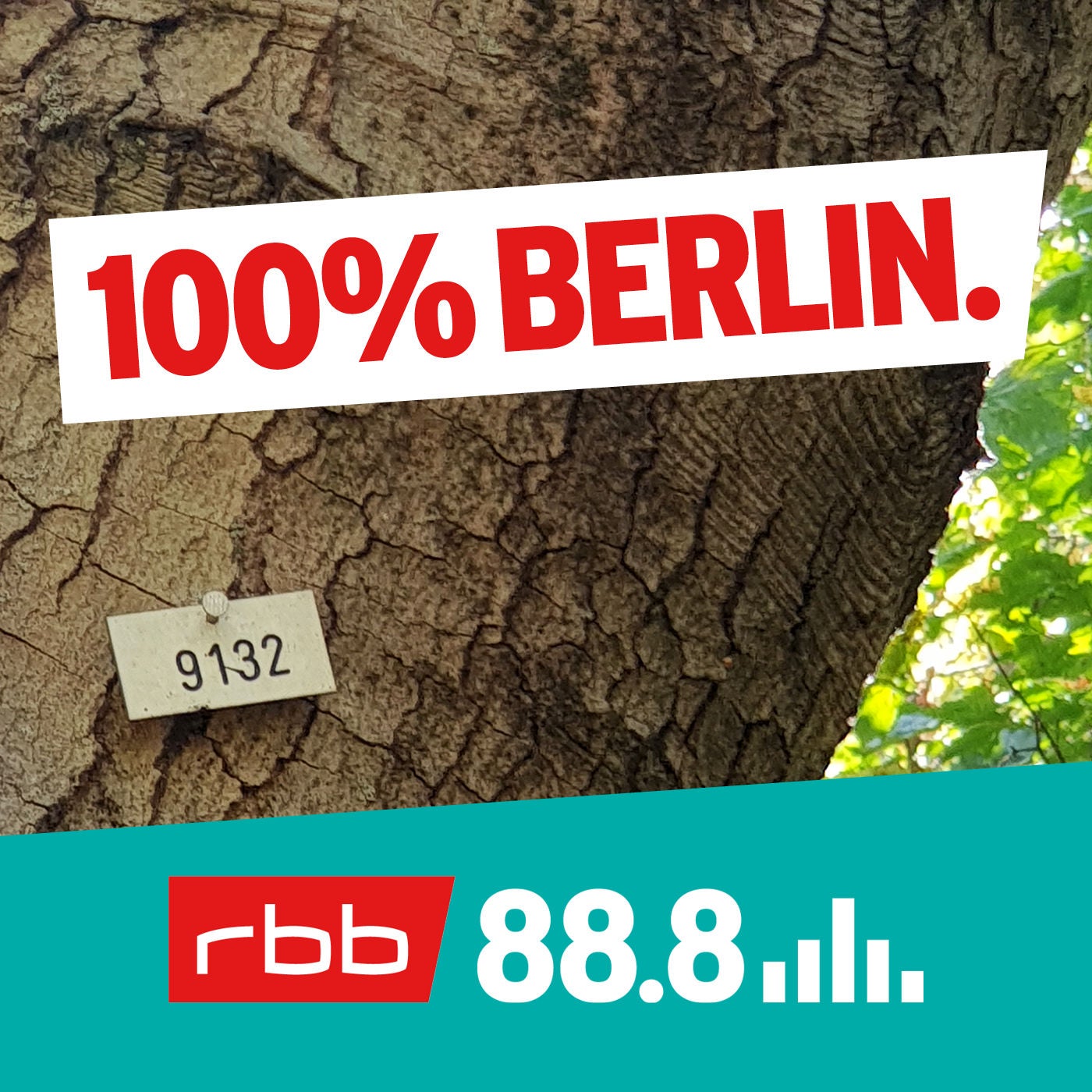 Das geheime System hinter den Baum-Nummern