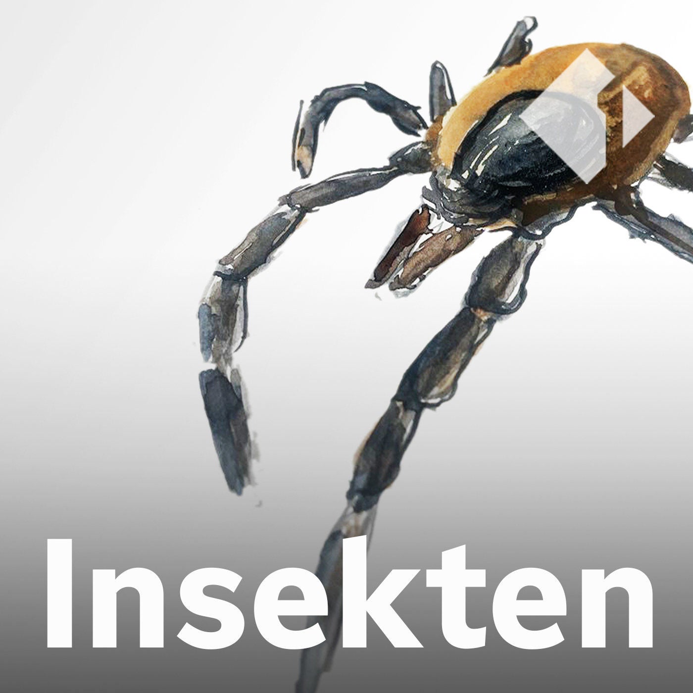 Die Zecke