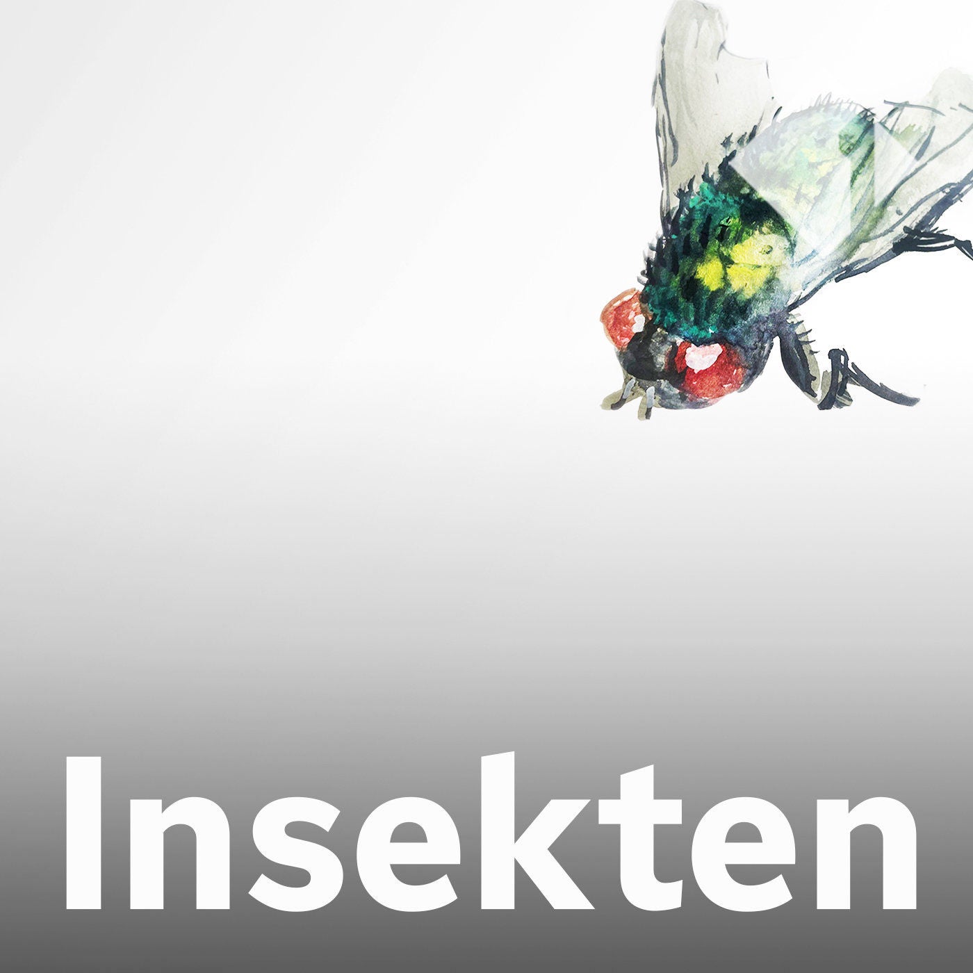 Die Schmeißfliege