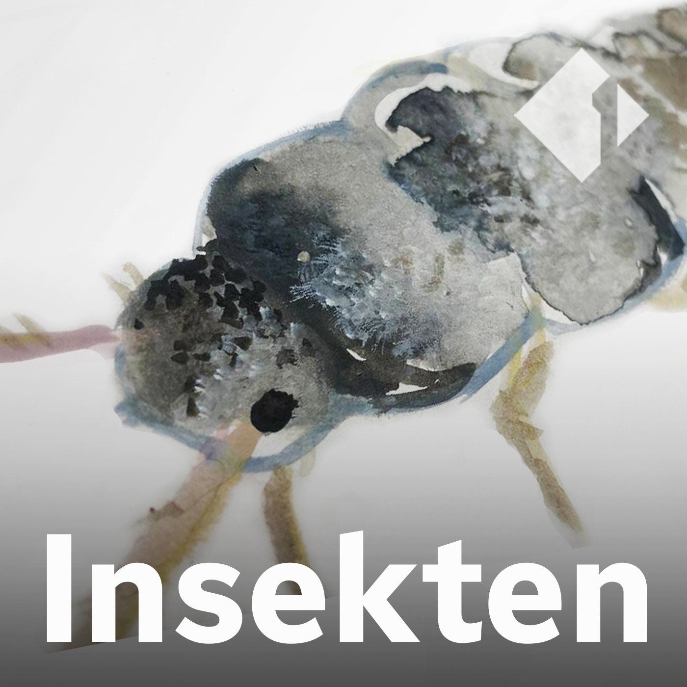 Das Silberfischchen