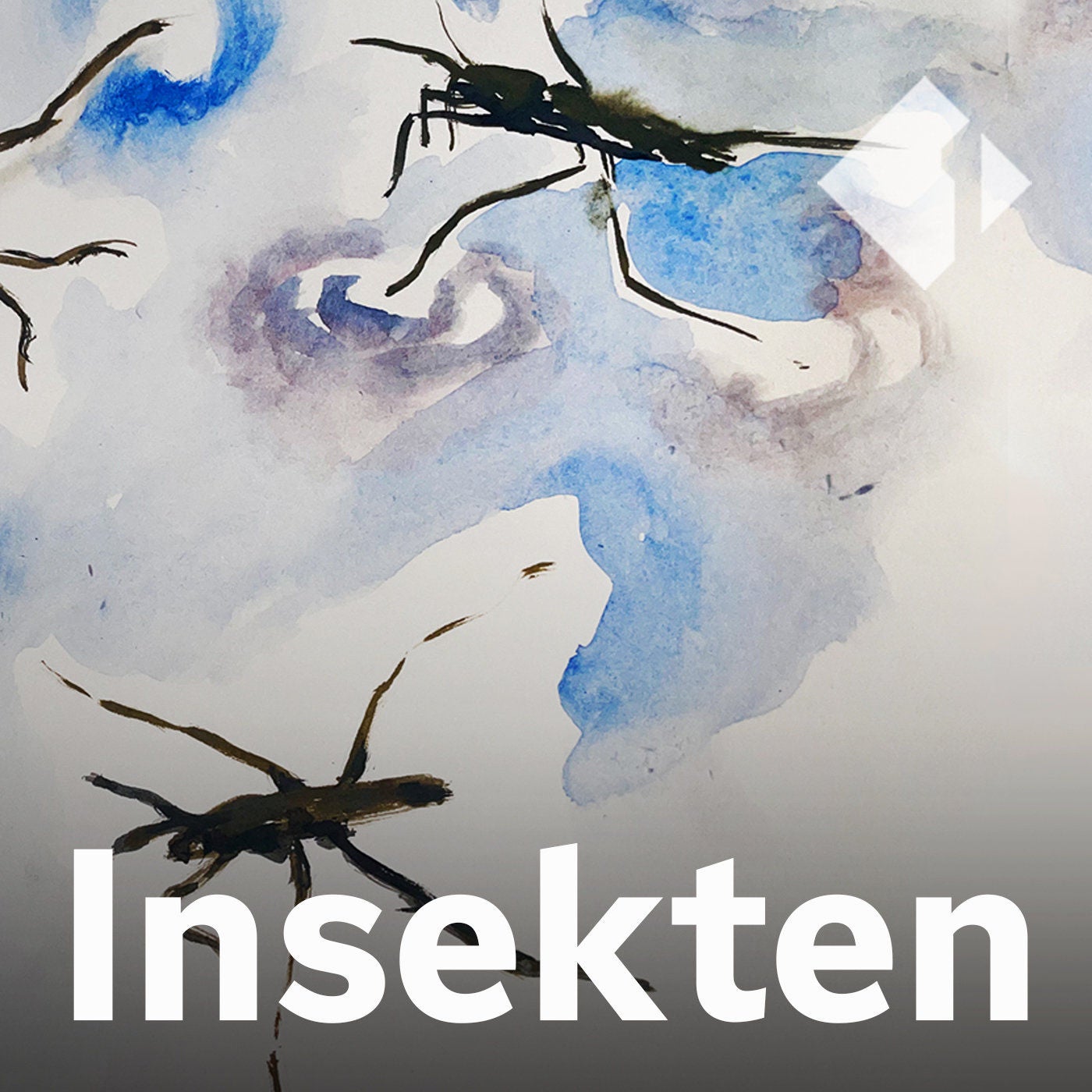 Der Wasserläufer