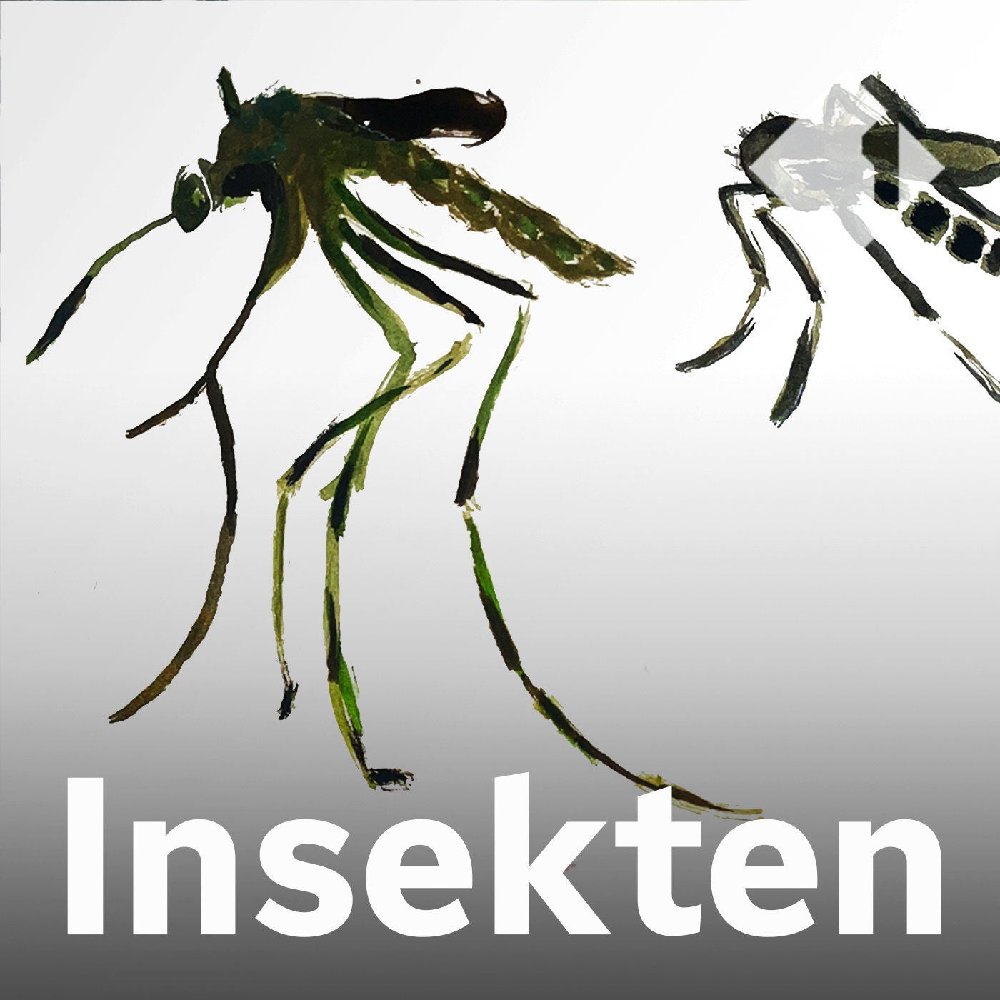 Die Gelse