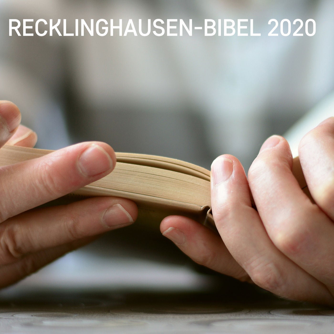 #35 Recklinghausen-Bibel