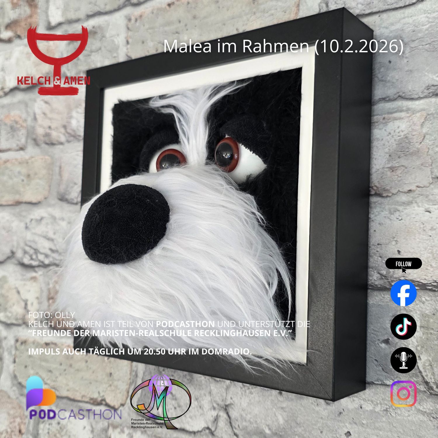 Malea im Bild (10.2.2026)