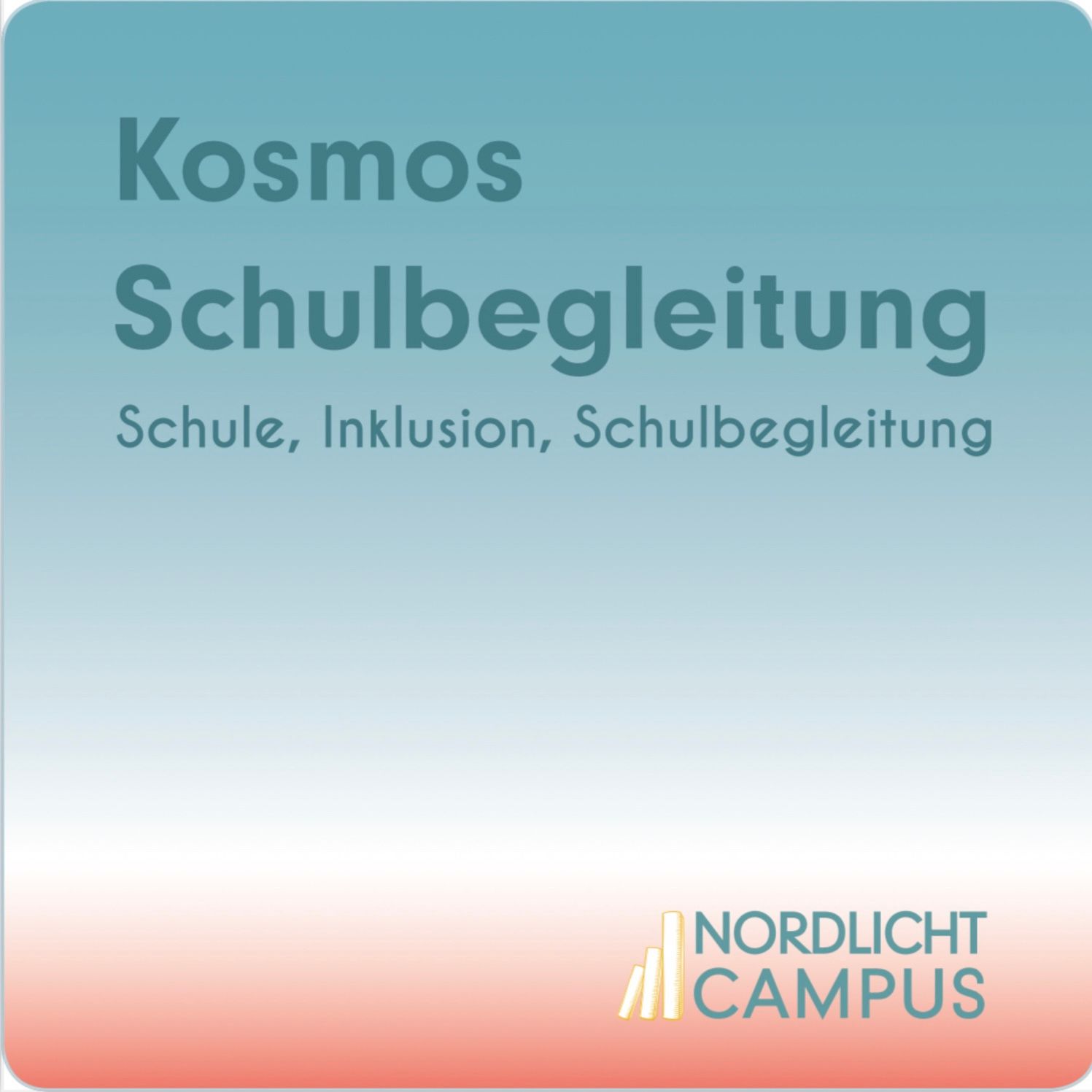 Kosmos Schulbegleitung