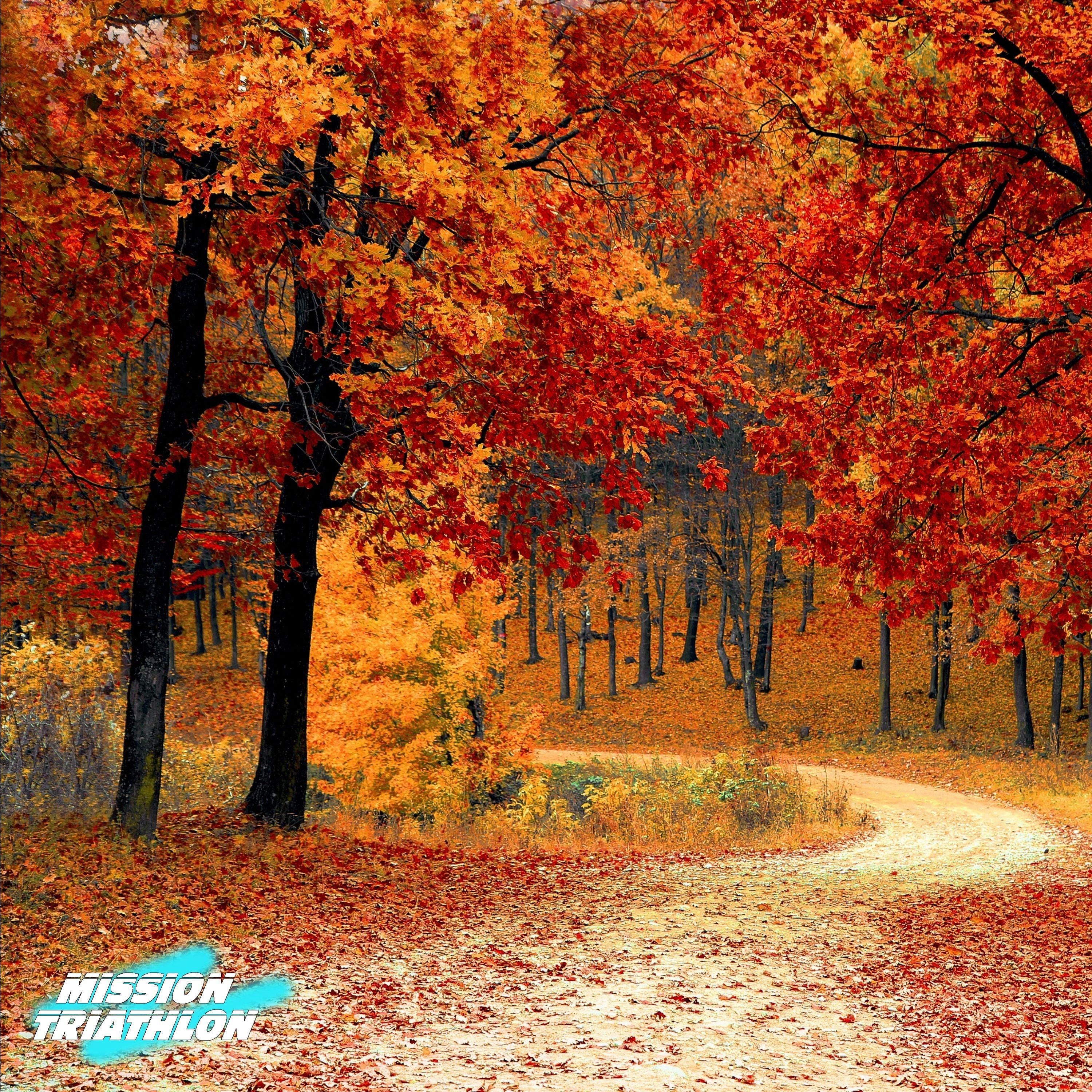 Training im Herbst - Tipps und Tricks - MTP Folge 119