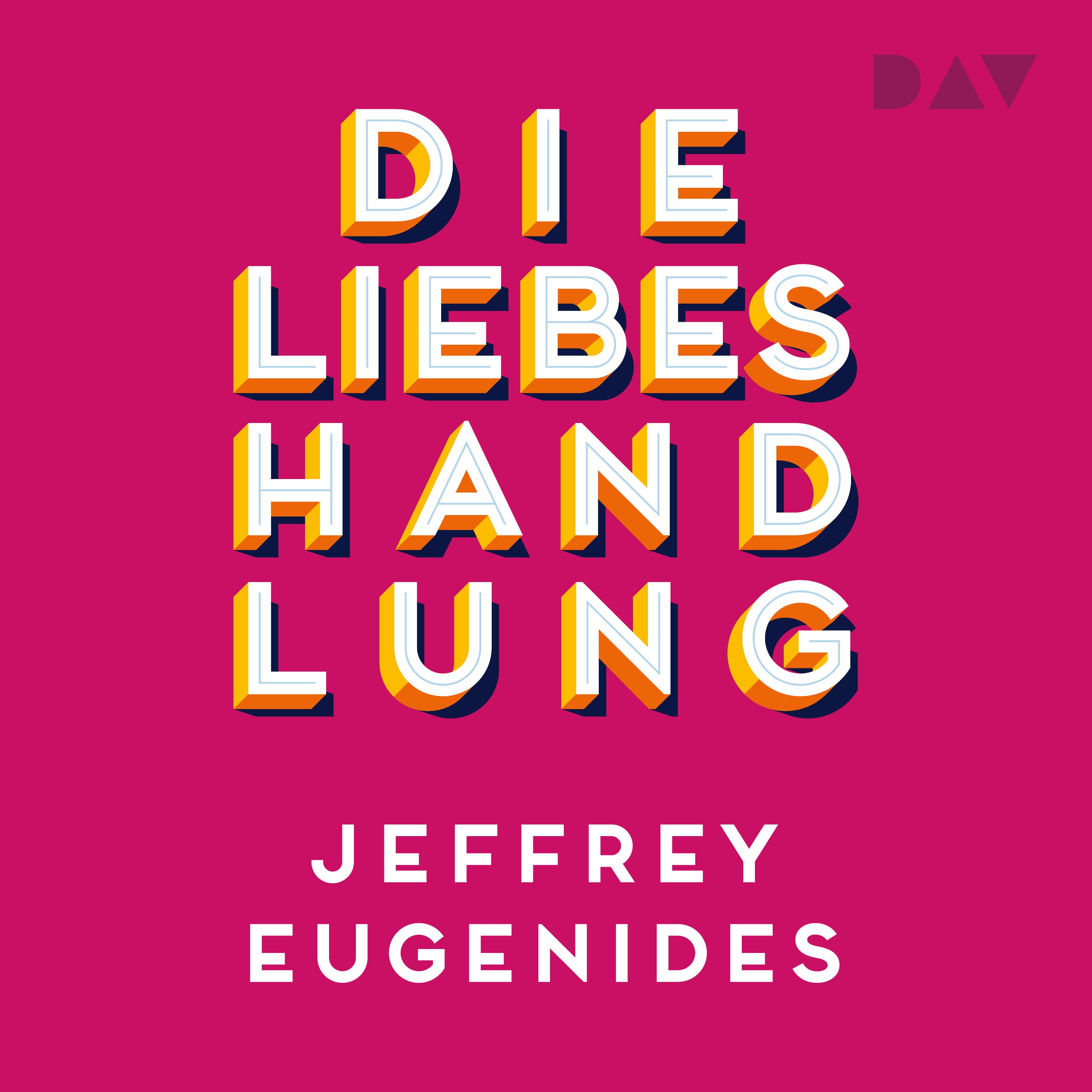Die Liebeshandlung