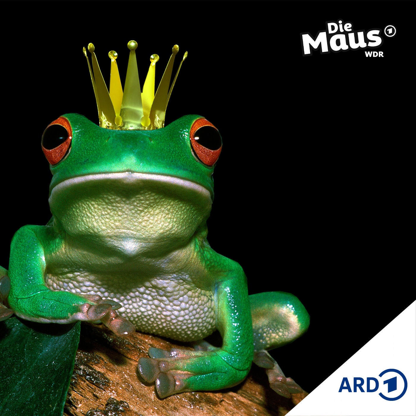 Der Frosch, der kein Prinz sein wollte (6/7) | Lustiges ab 6 Jahren
