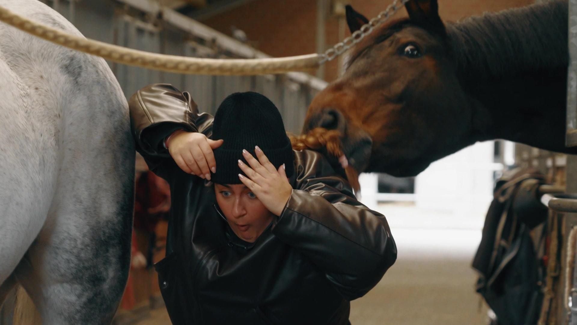 Reiten