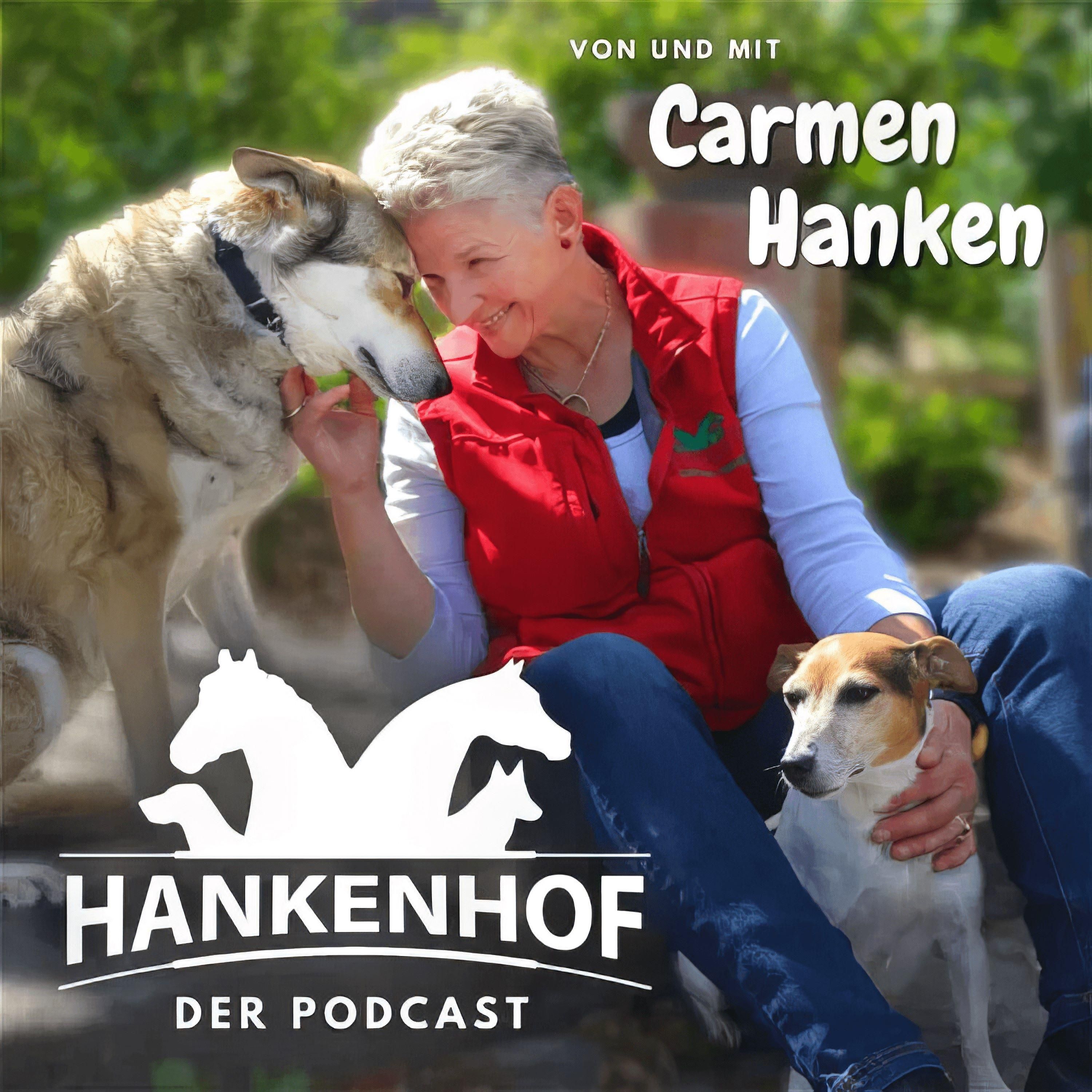 HANKENHOF - Der Podcast
