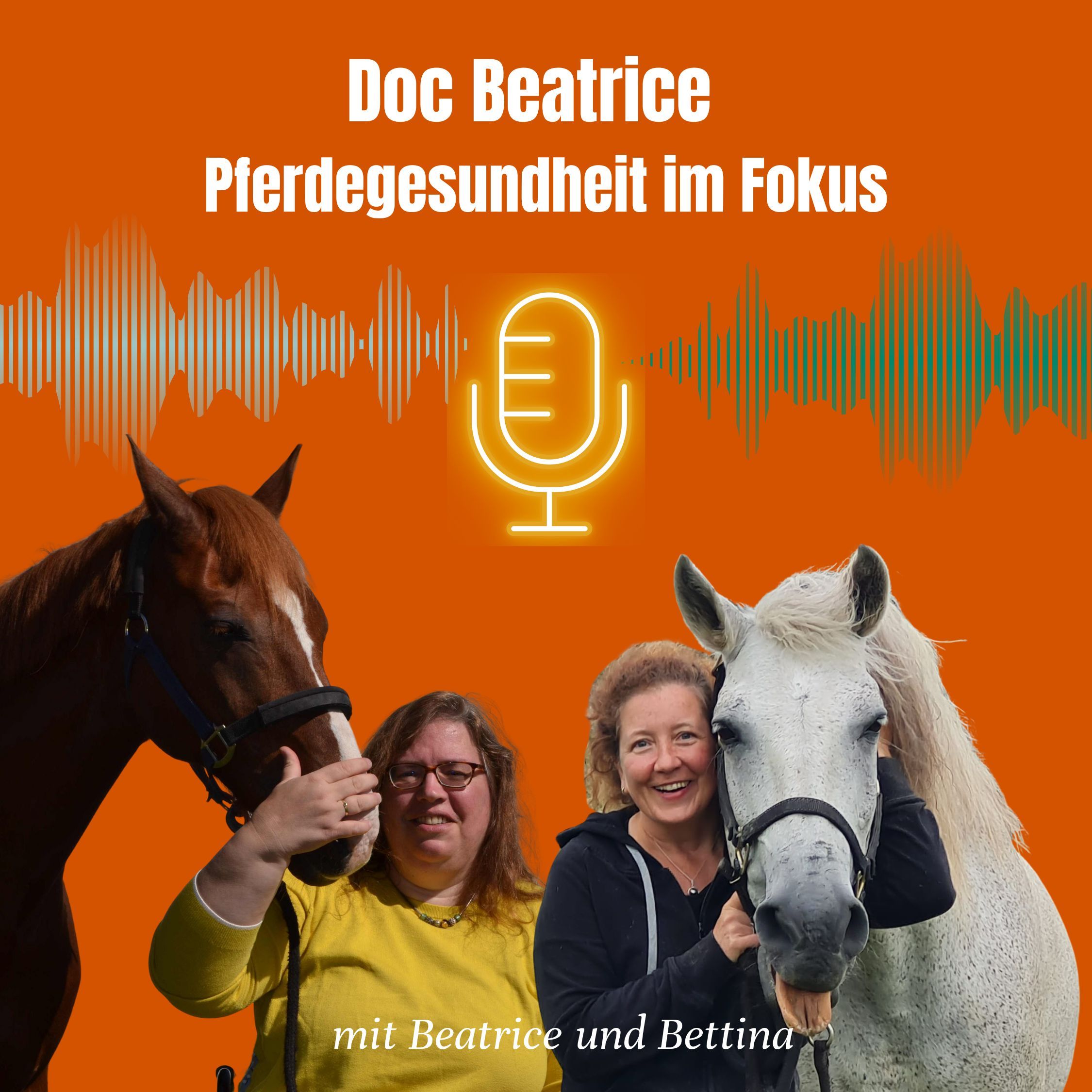 Doc Beatrice - Pferdegesundheit im Fokus