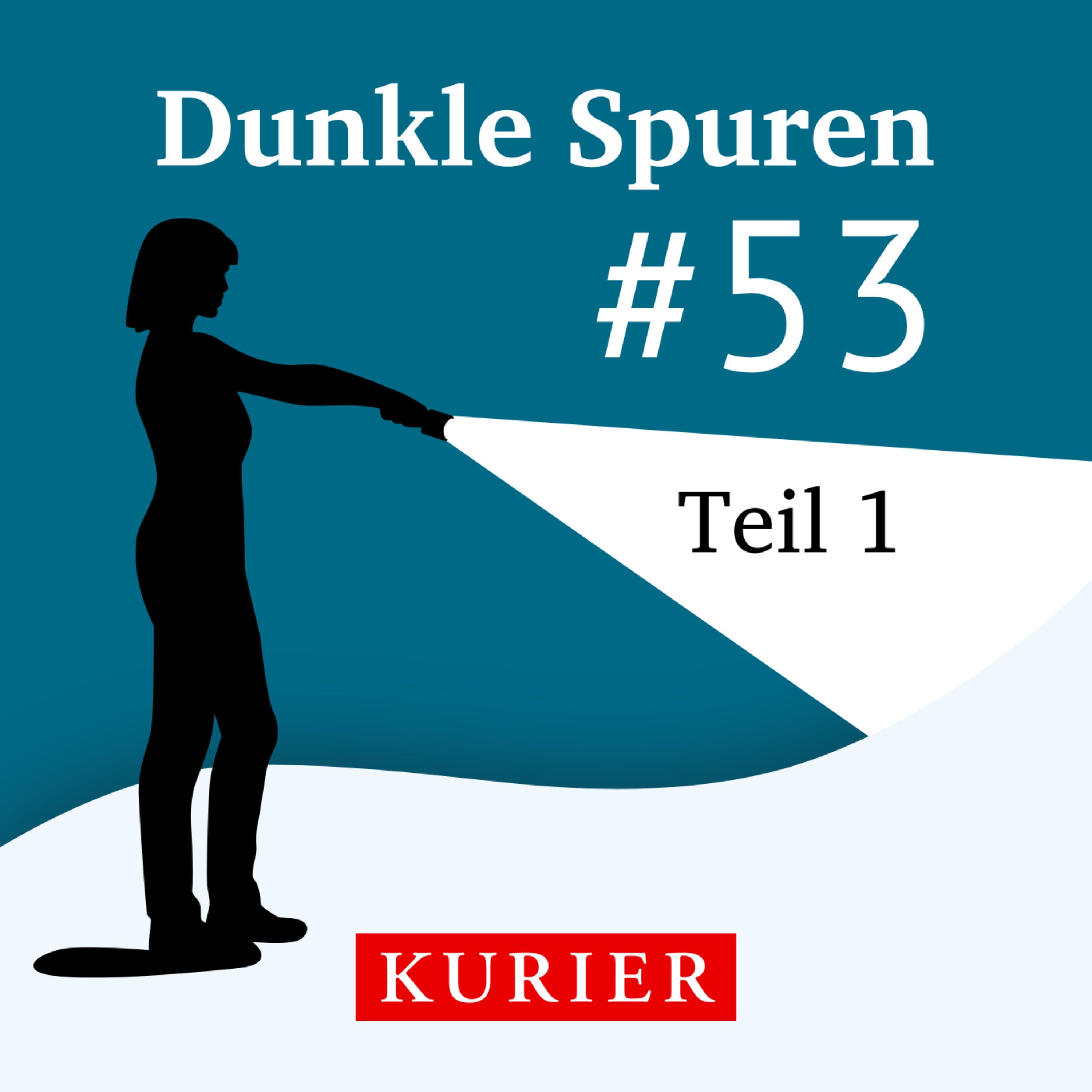 Der Dämon von St.Pölten 1/2: Schwarze Handschuhe