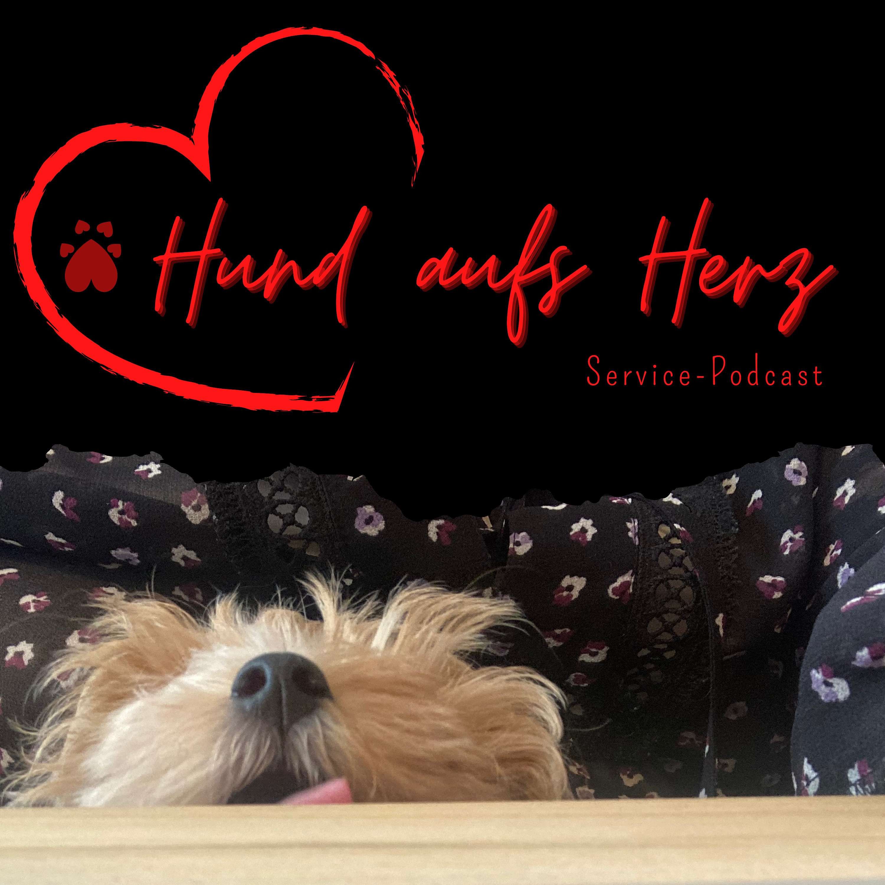 Hund aufs Herz