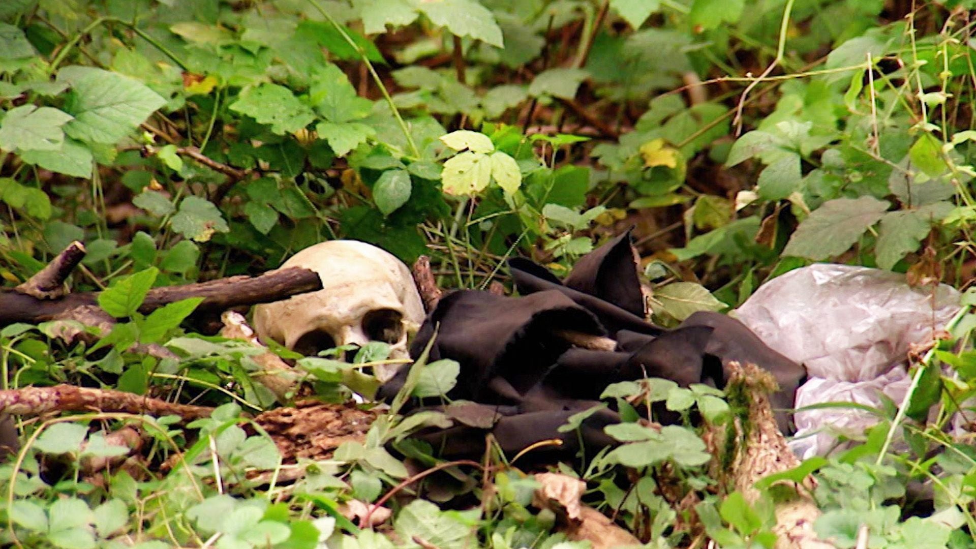 Schädel im Wald / Blei im Schädel / Bei Anruf Mord