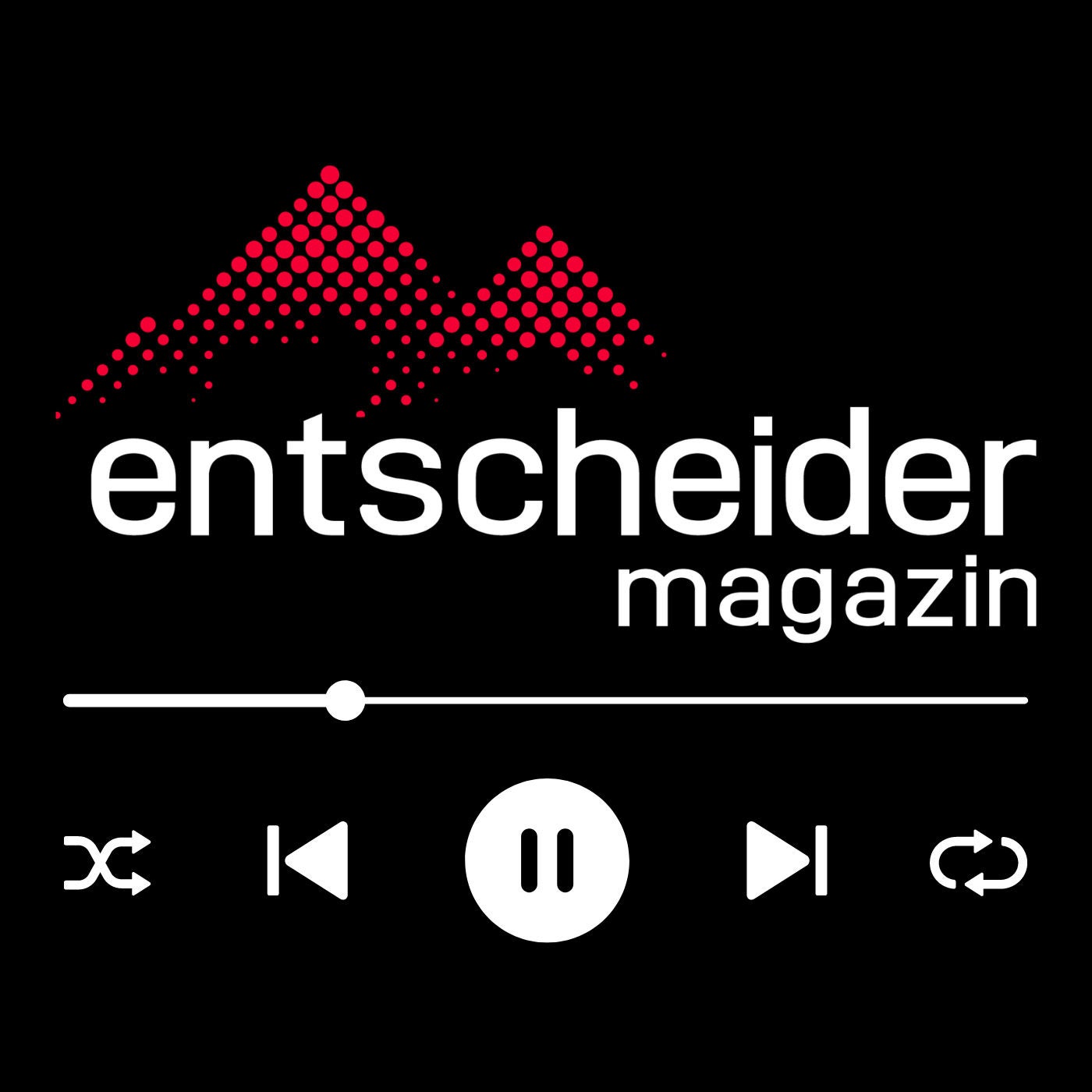 Entscheider - Einblicke in die Führungsgeheimnisse von Top-CEOs und Branchenführern