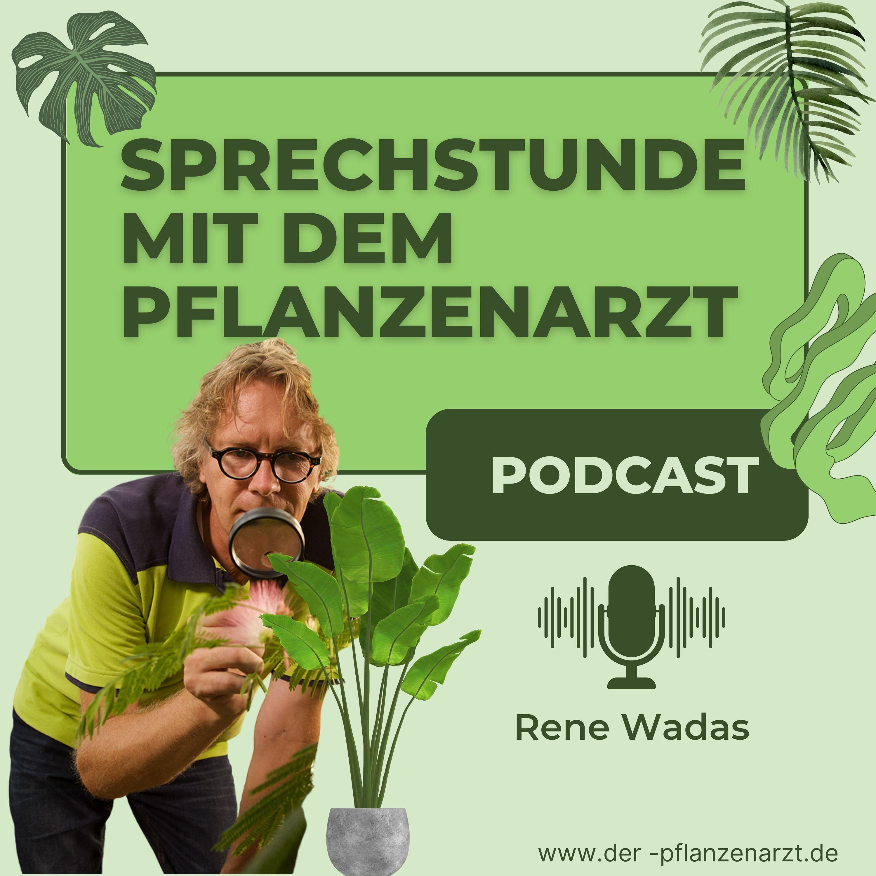 Sprechstunde mit dem Pflanzenarzt