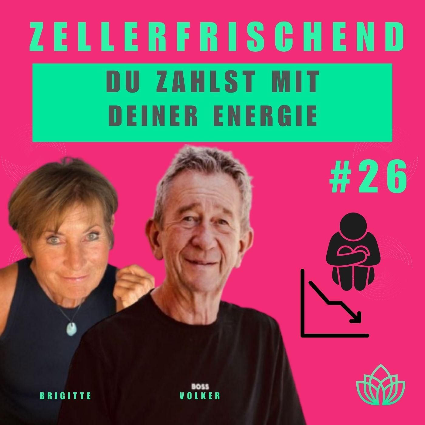 Zellerfrischend - Umwelt und Umfeld – Der unterschätzte Hebel für deine Vitalität