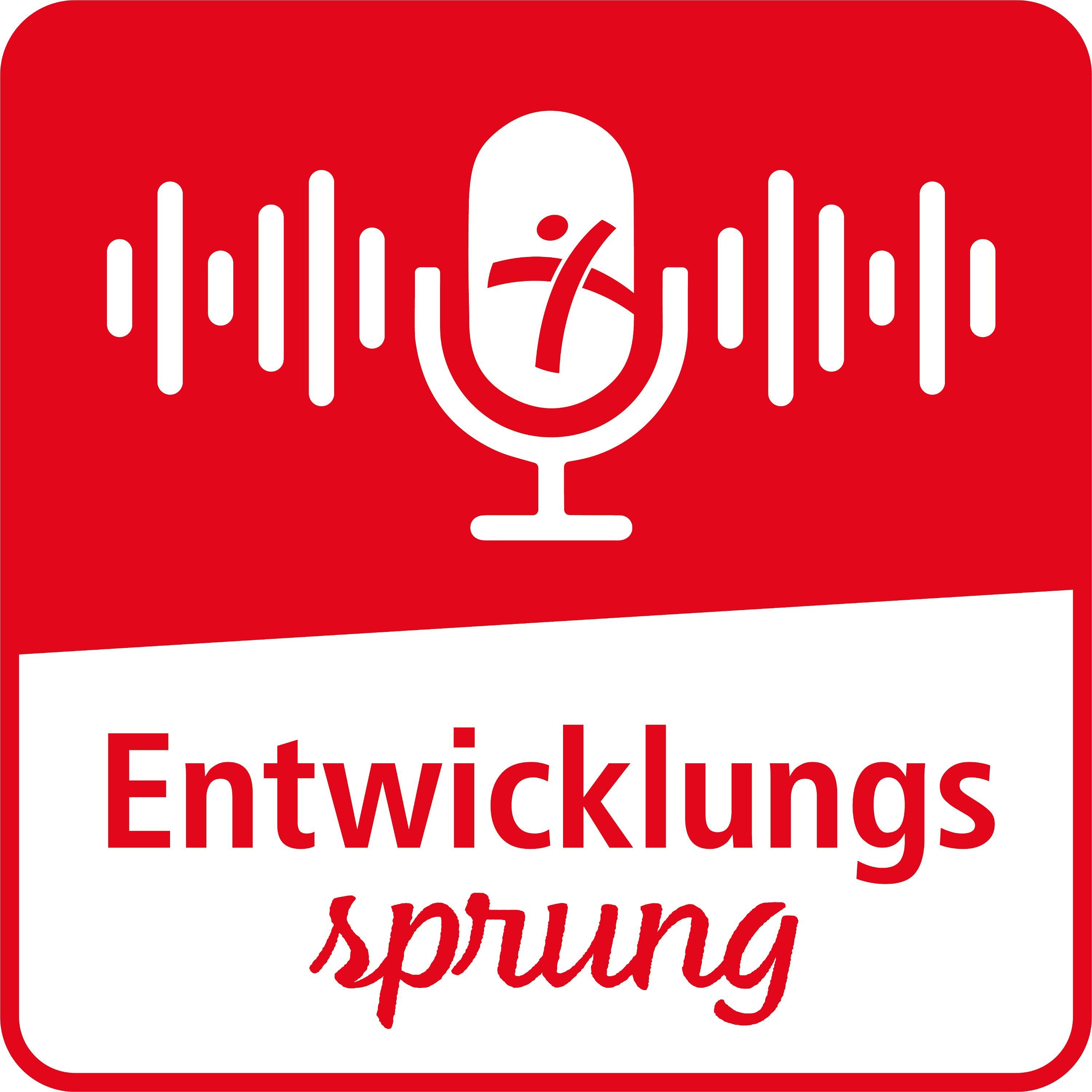 Entwicklungssprung - Der Podcast für Menschen in Bewegung