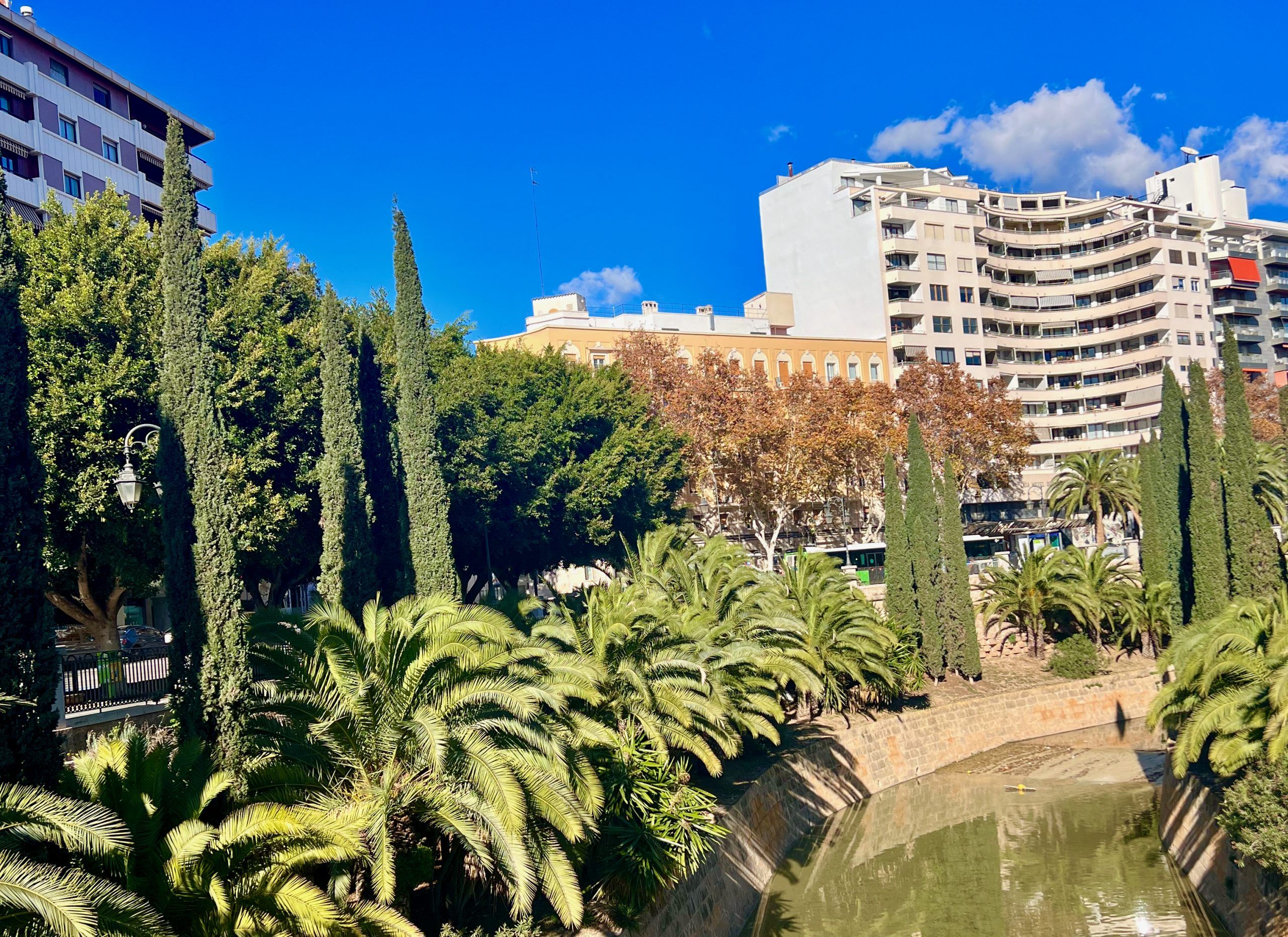 5 Minuten Mallorca | Nachrichten am 12. Dezember 2024
