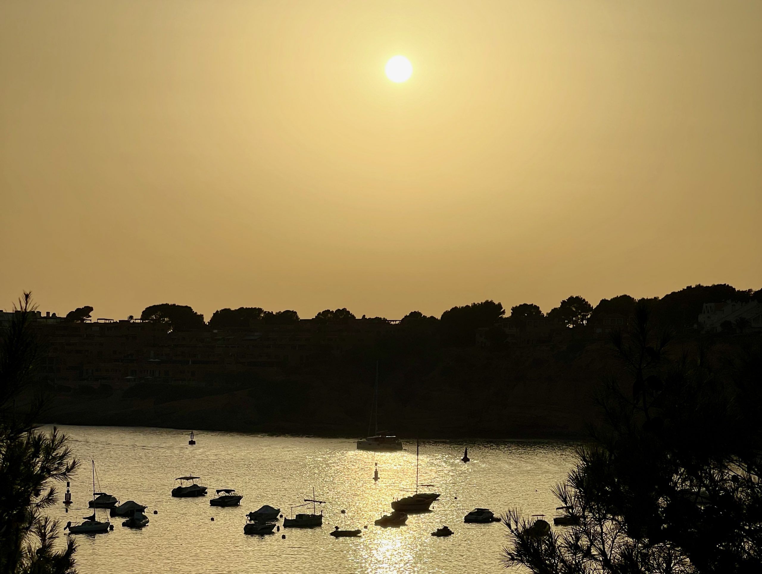 5 Minuten Mallorca | Nachrichten am 2. August 2024