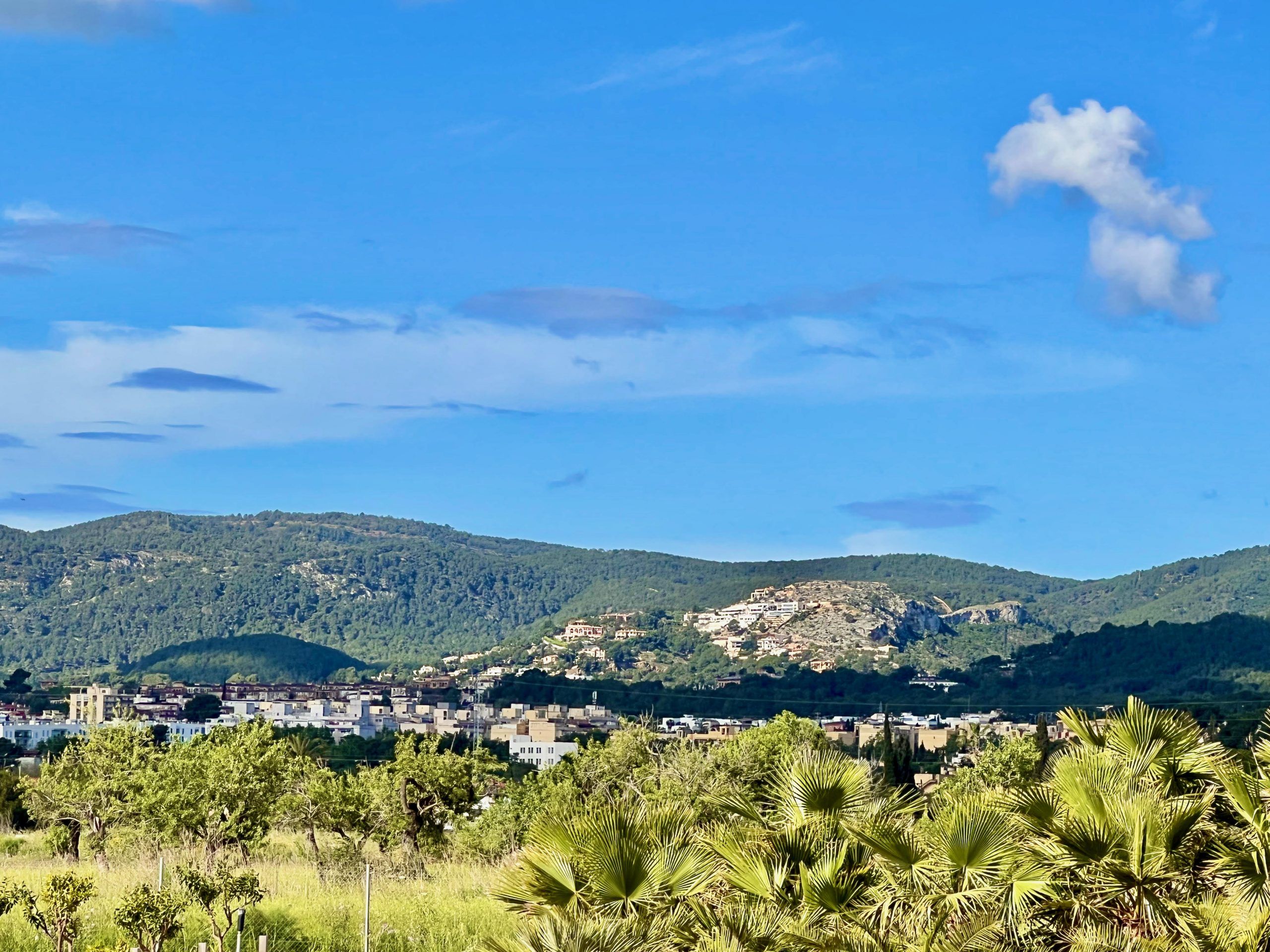 5 Minuten Mallorca | Nachrichten am 12. Juni 2024